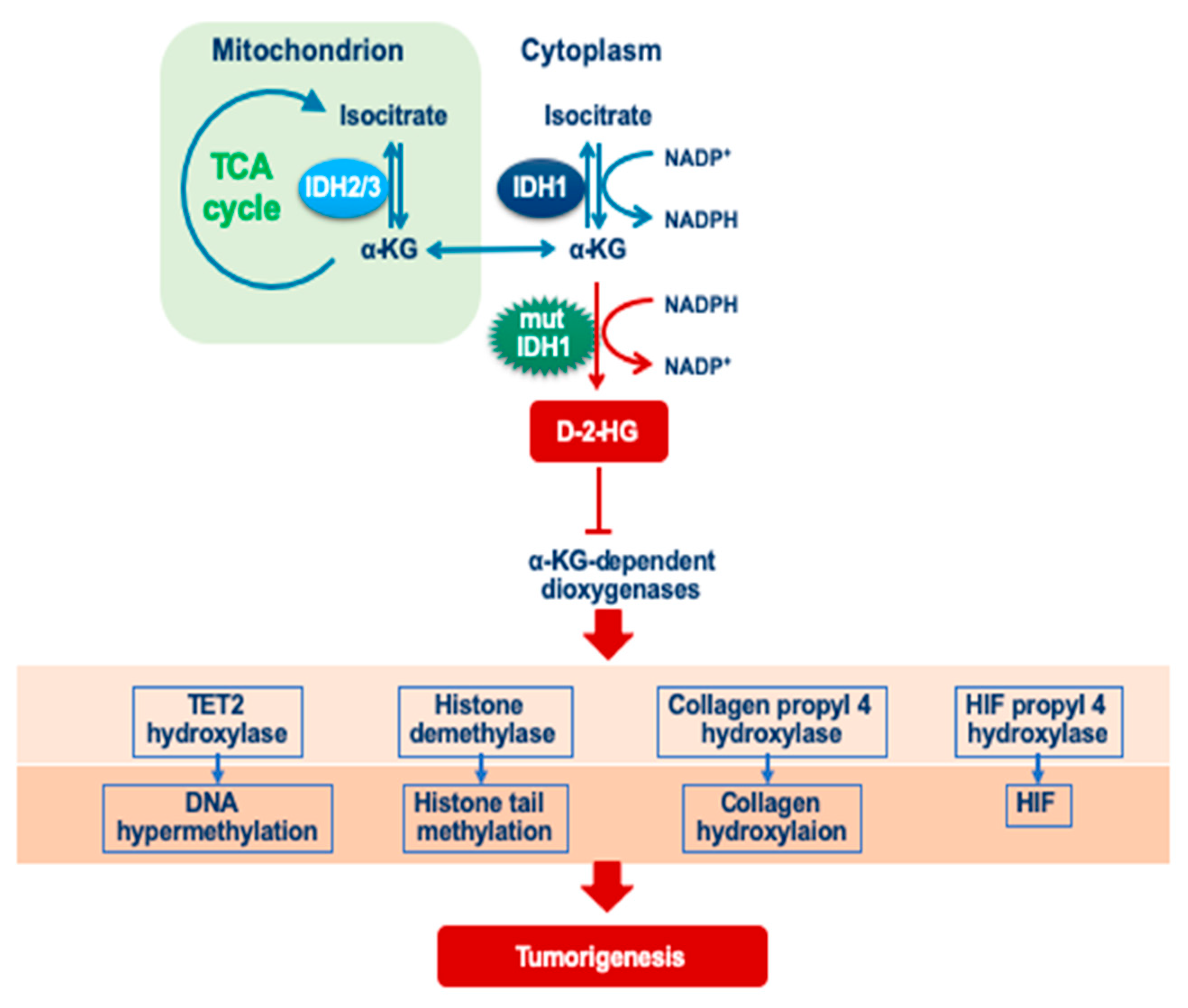 Genes 14 01201 g001 Genes 14 01201 g001