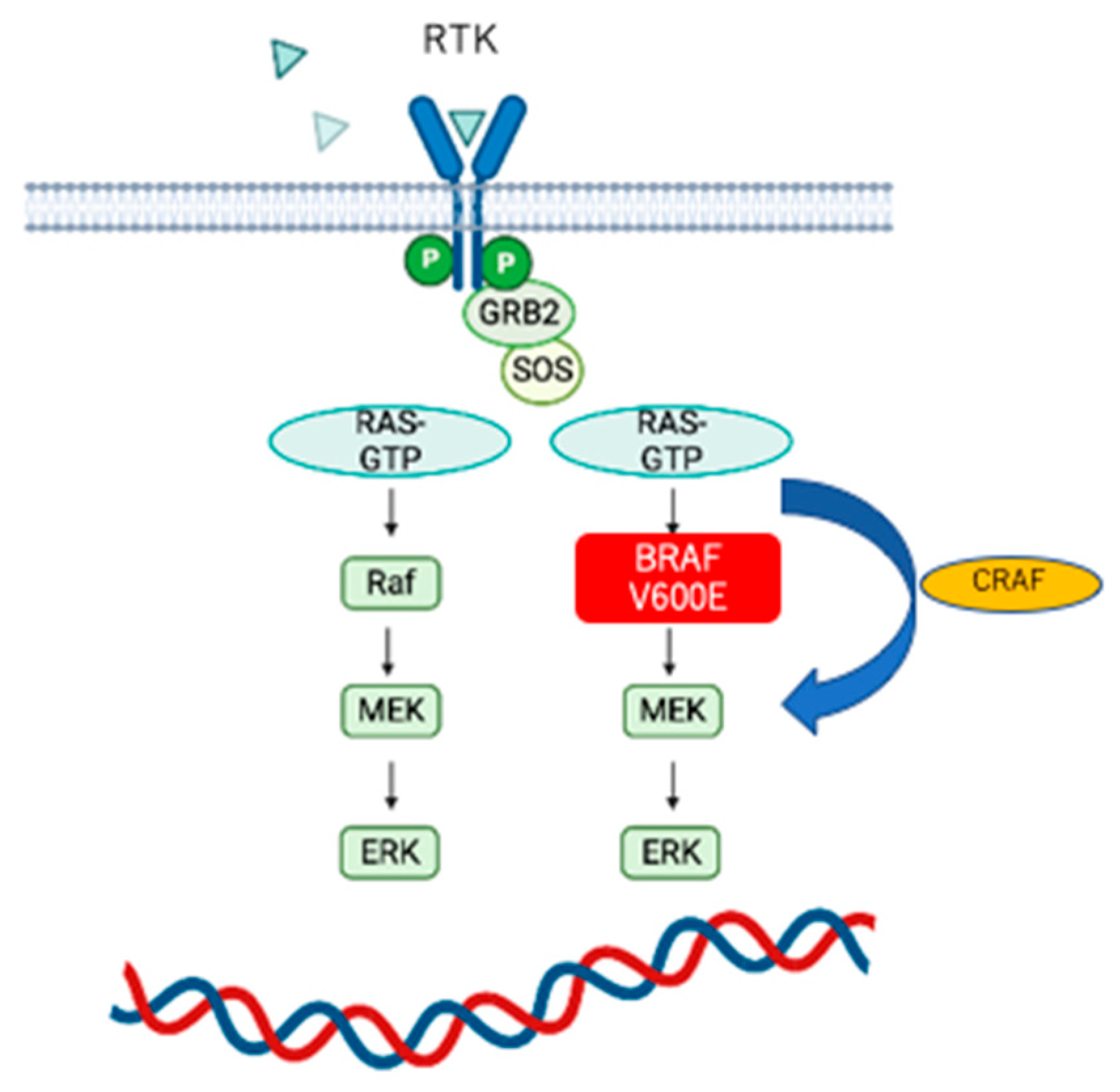 Genes 14 01201 g002 Genes 14 01201 g002