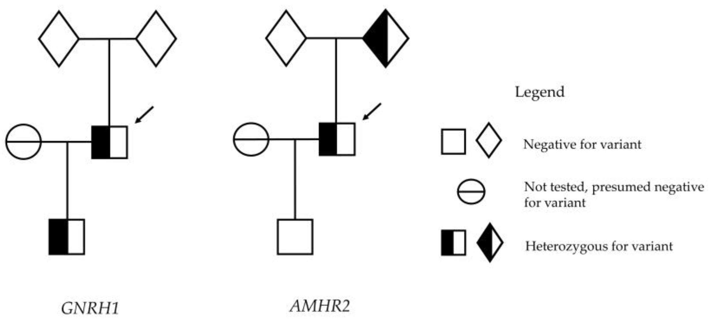 Genes 14 01204 g002 Genes 14 01204 g002