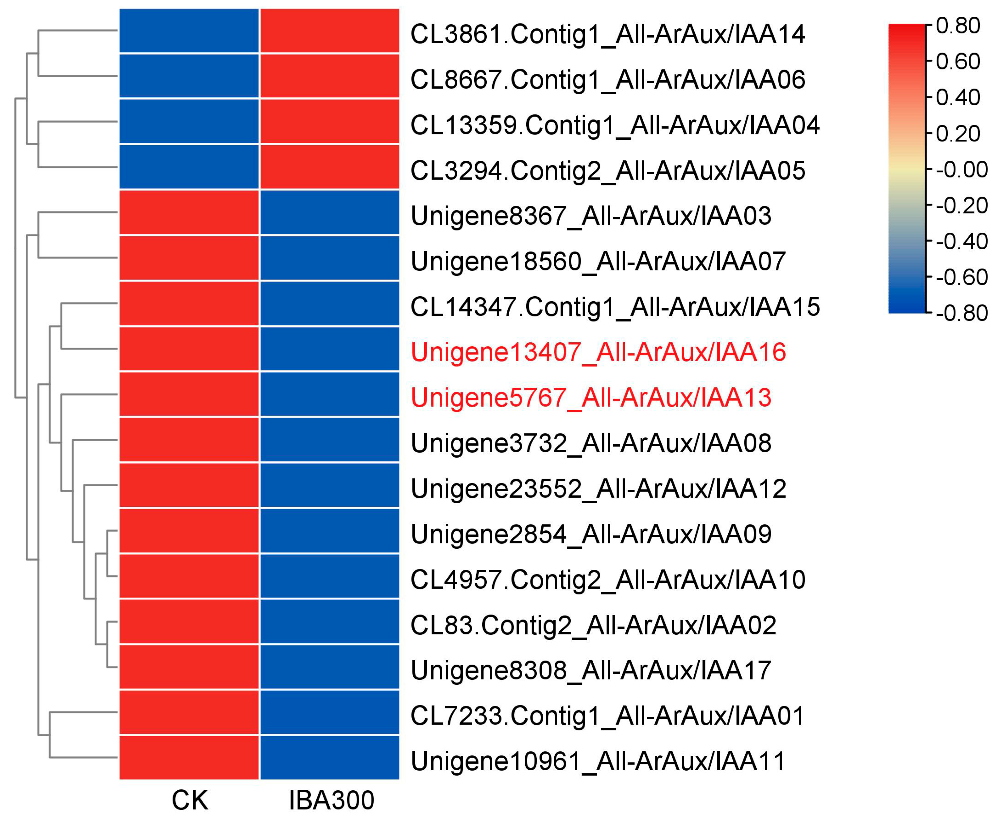 Genes 14 01206 g001