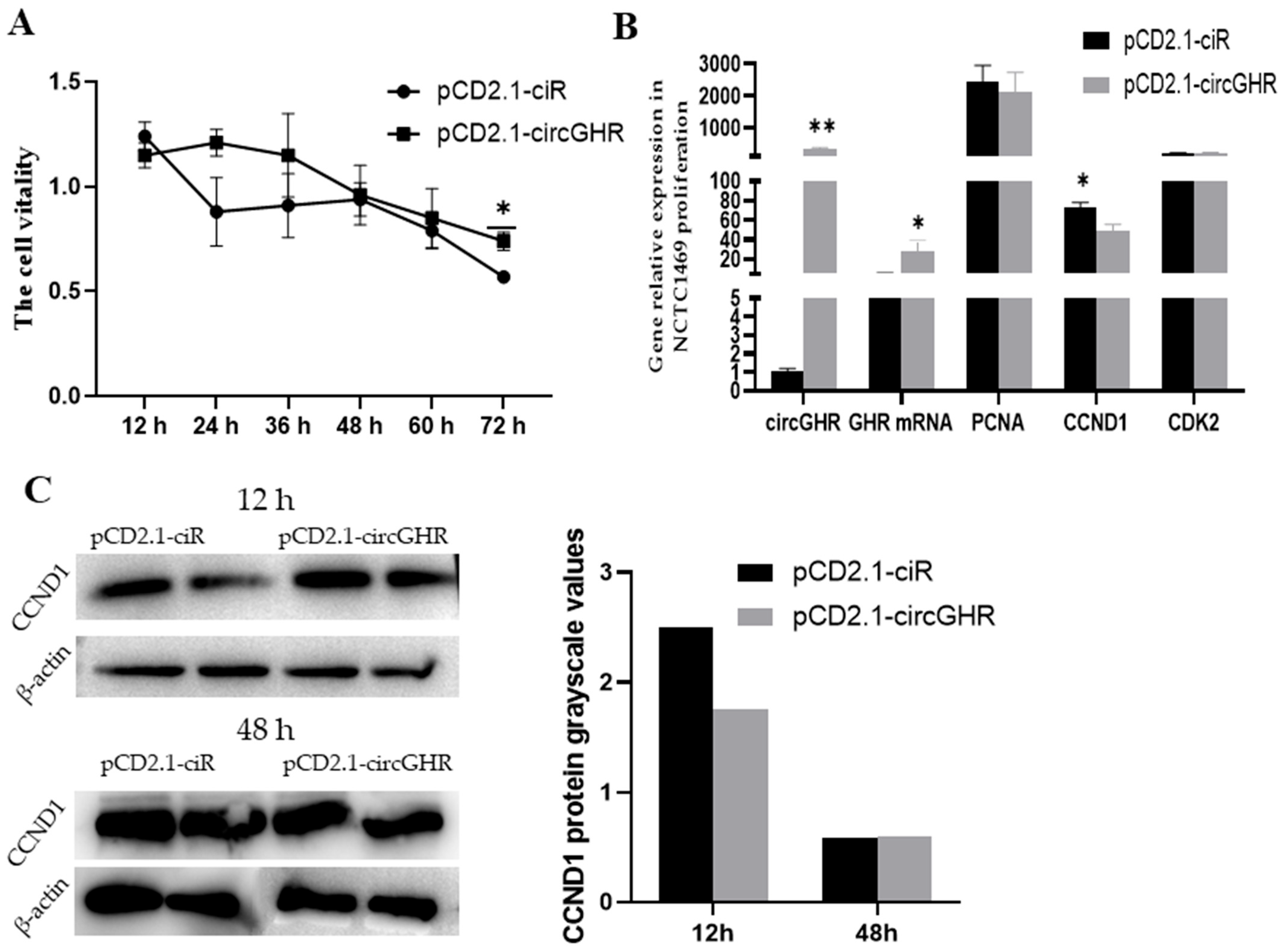 Genes 14 01207 g002 Genes 14 01207 g002