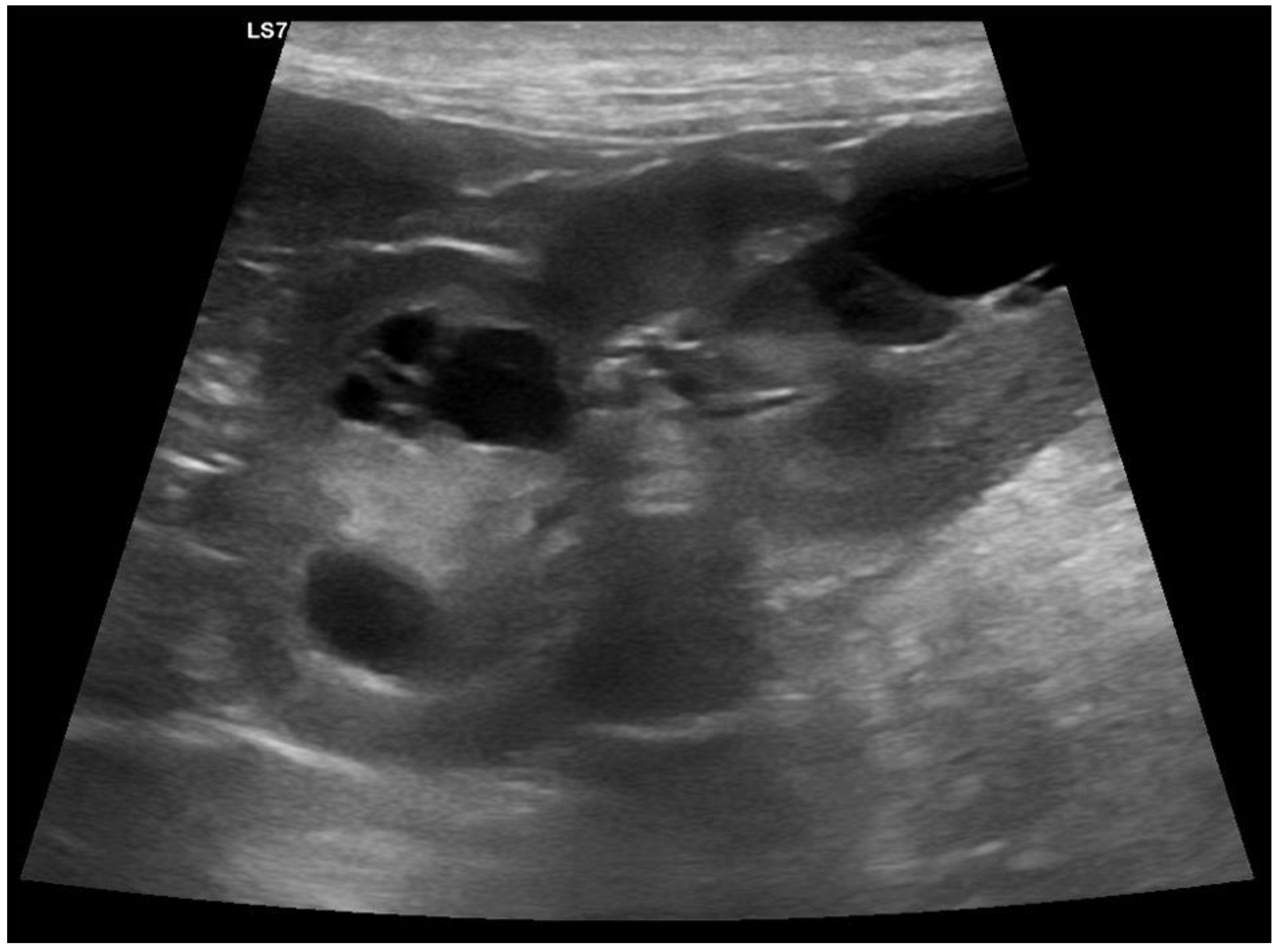 Genes 14 01210 g001 Genes 14 01210 g001