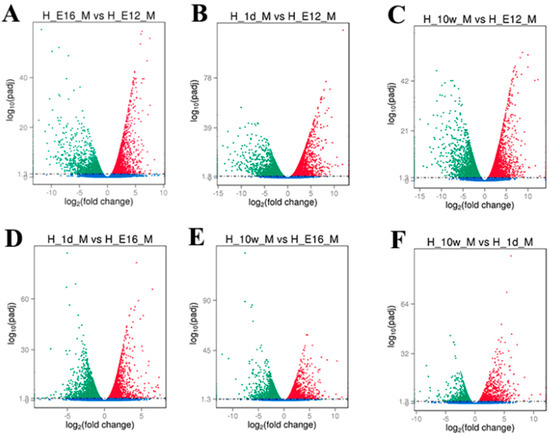 Transcriptome Analysis of Leg Muscles and the Effects of