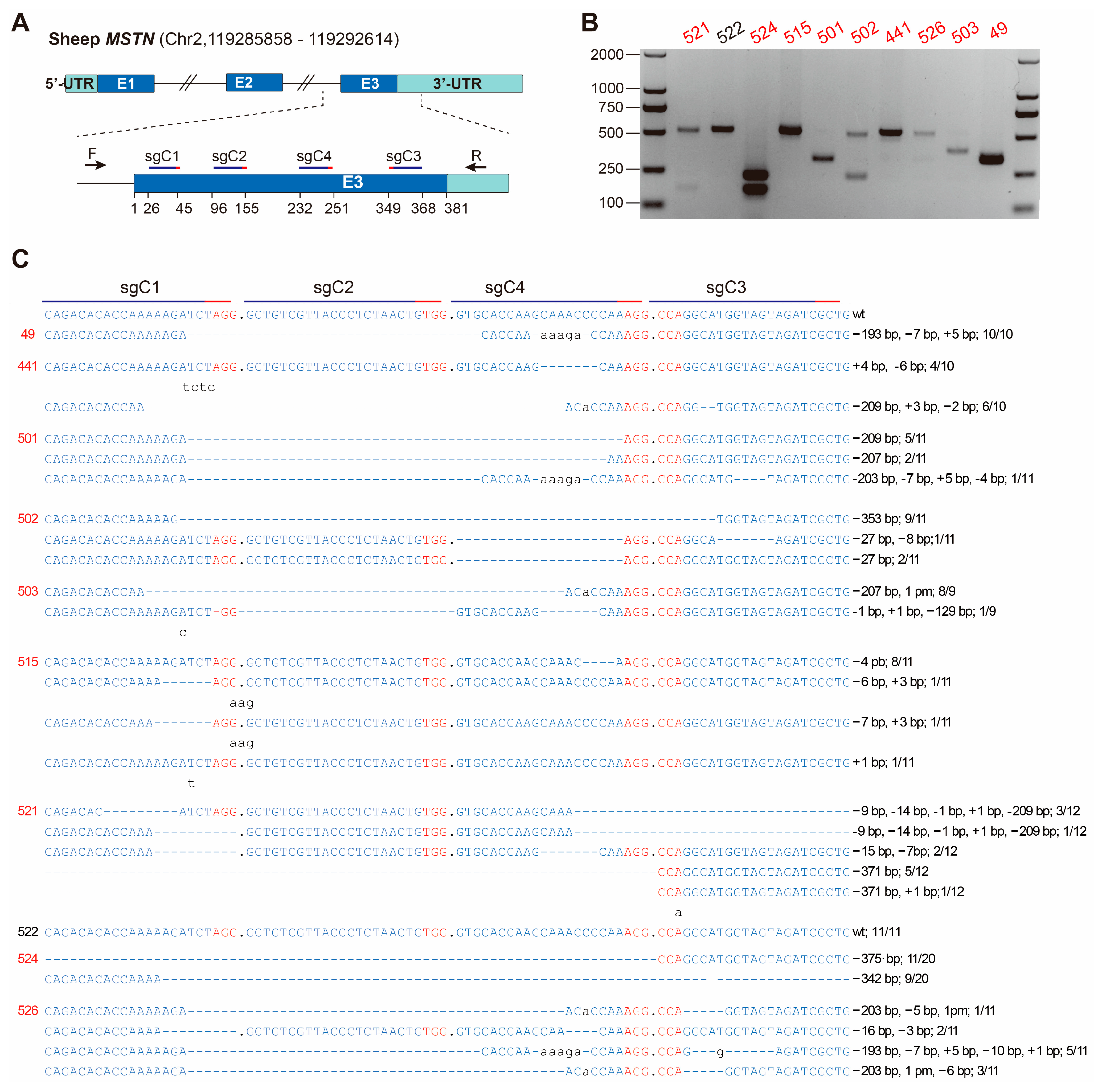 Genes 14 01216 g001