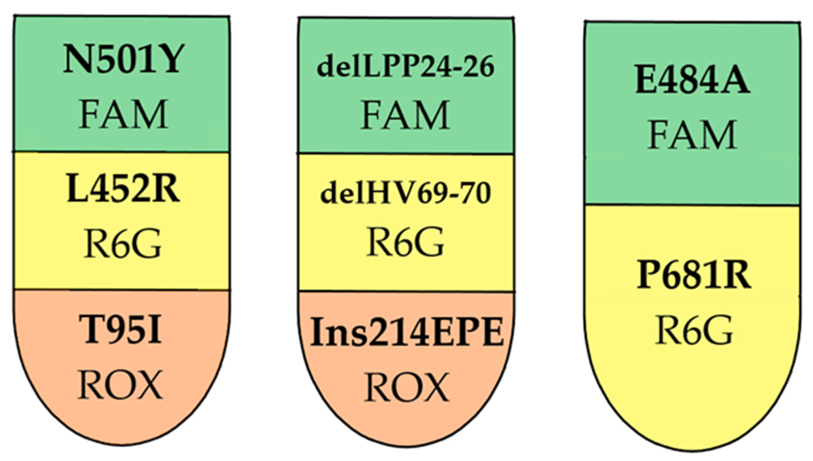 Genes 14 01218 g003 Genes 14 01218 g003
