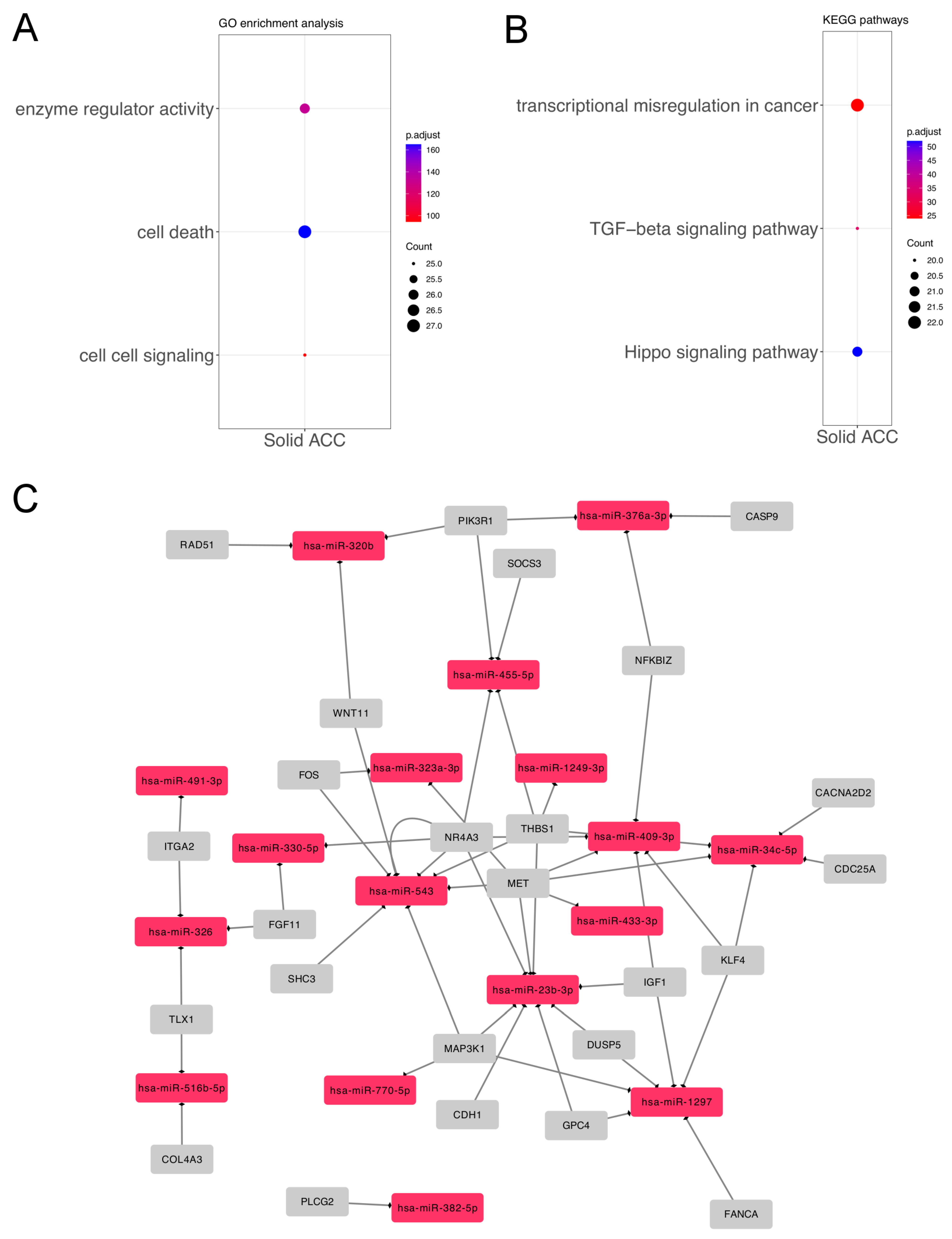 Genes 14 01220 g002 Genes 14 01220 g002