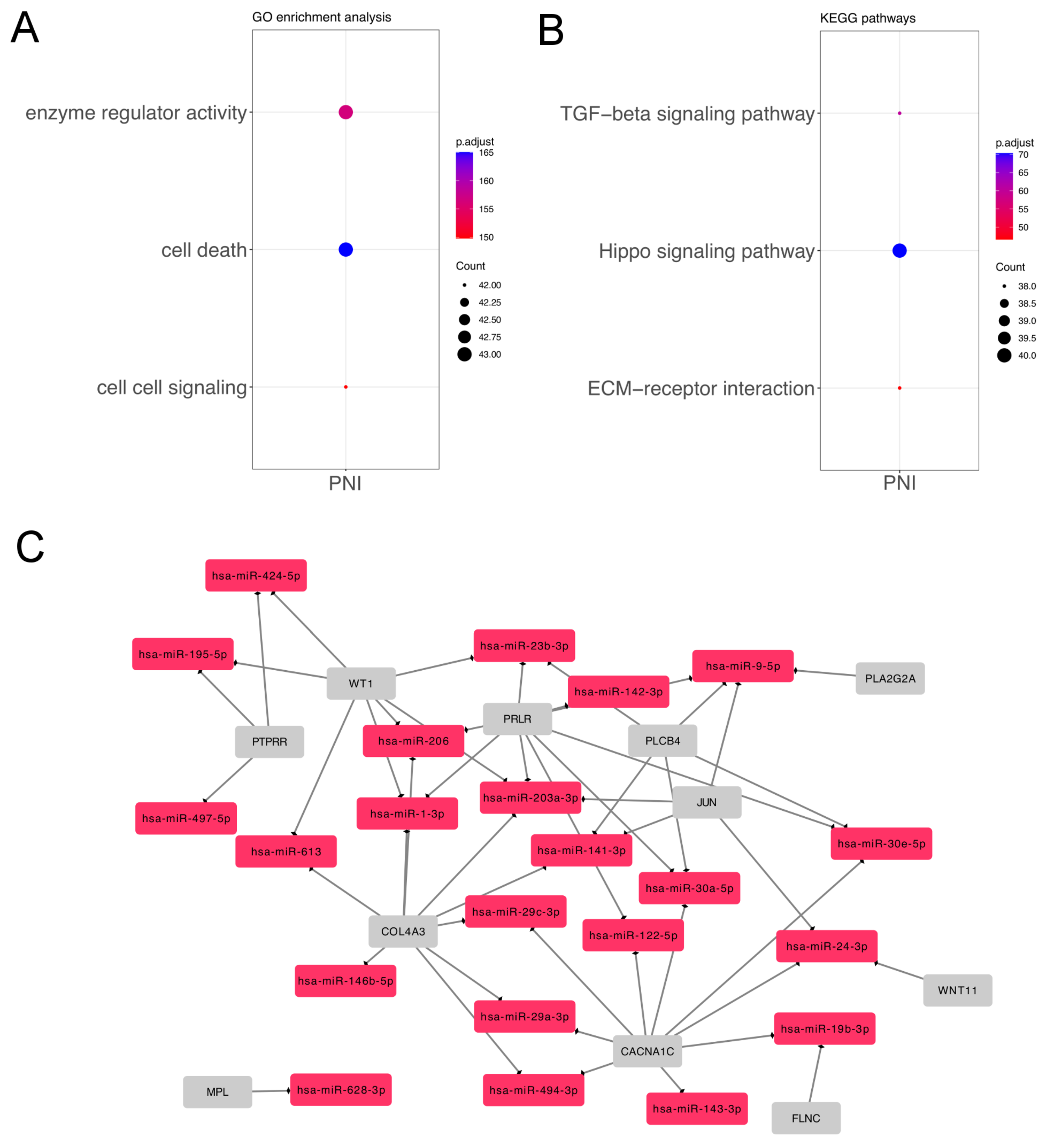 Genes 14 01220 g004 Genes 14 01220 g004