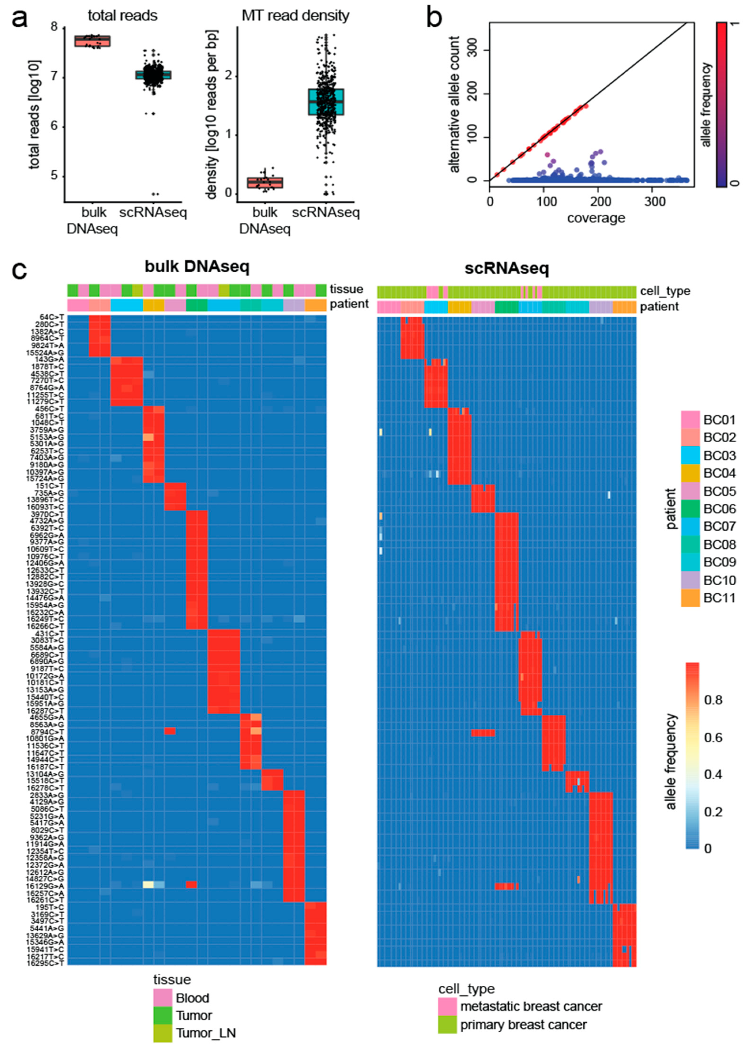 Genes 14 01222 g002 Genes 14 01222 g002