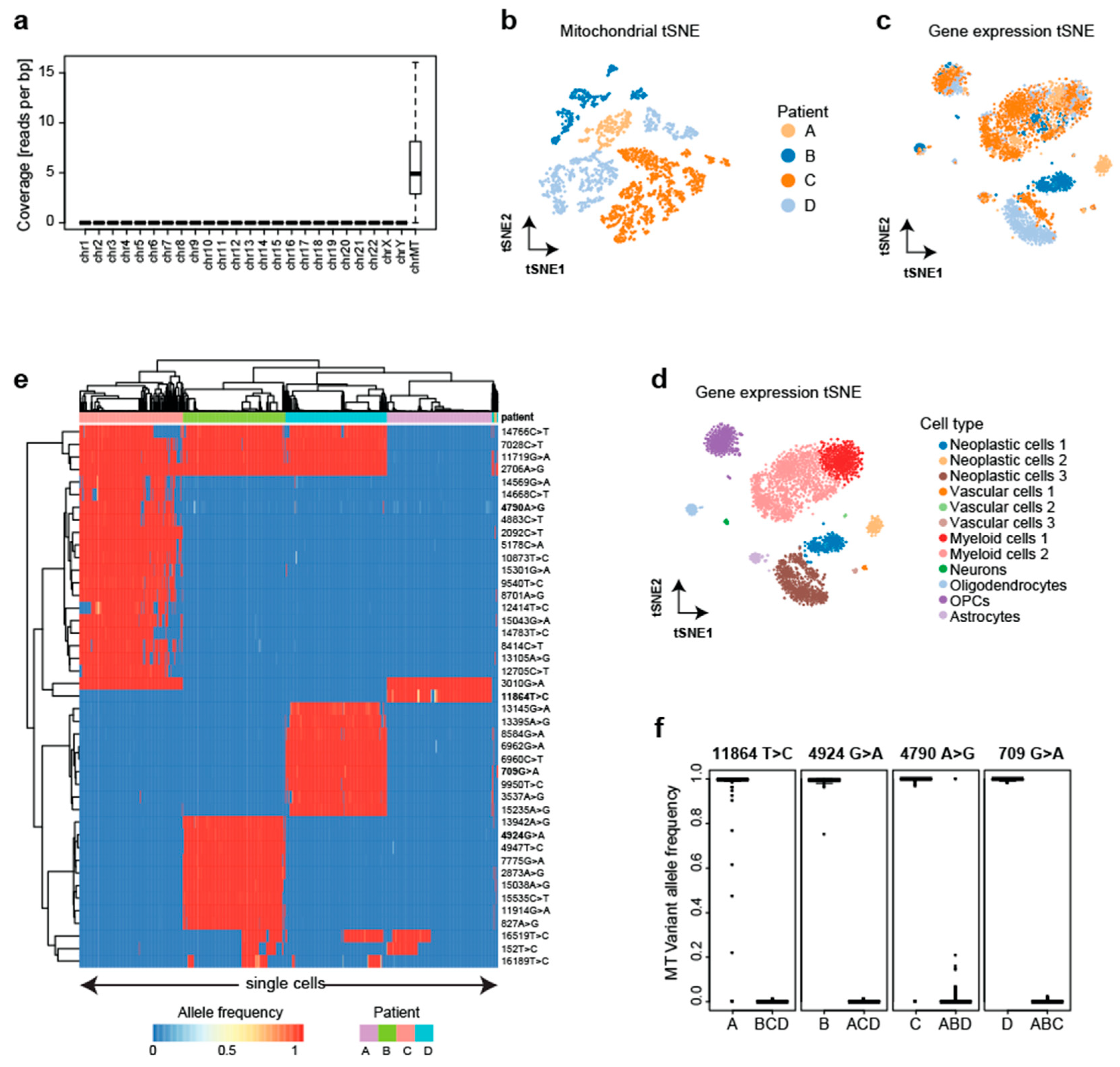 Genes 14 01222 g003 Genes 14 01222 g003
