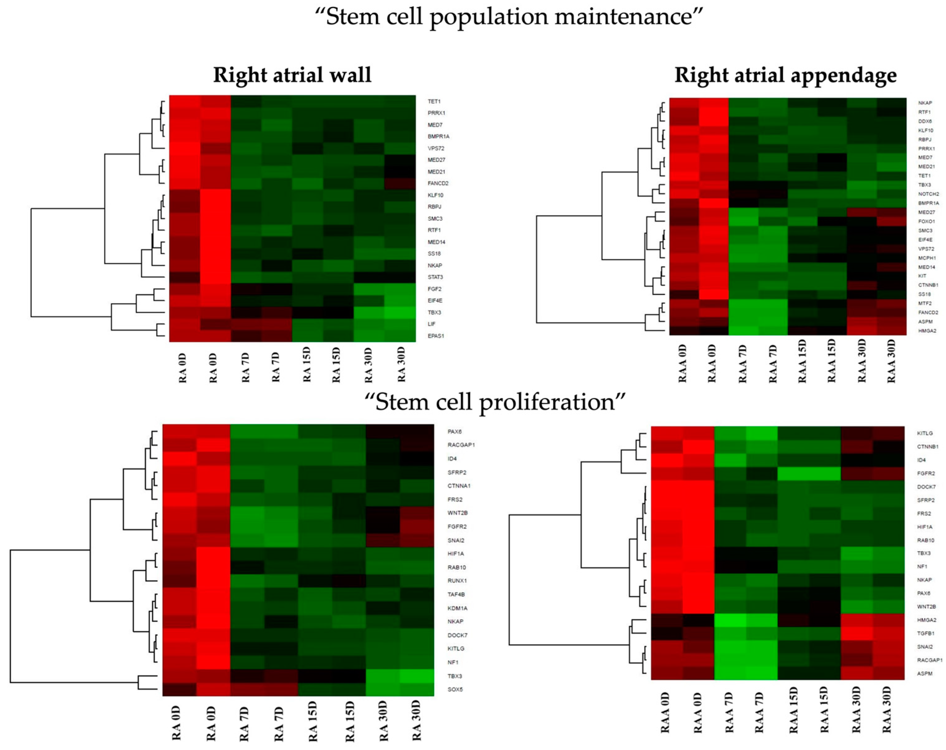 Genes 14 01223 g004 Genes 14 01223 g004