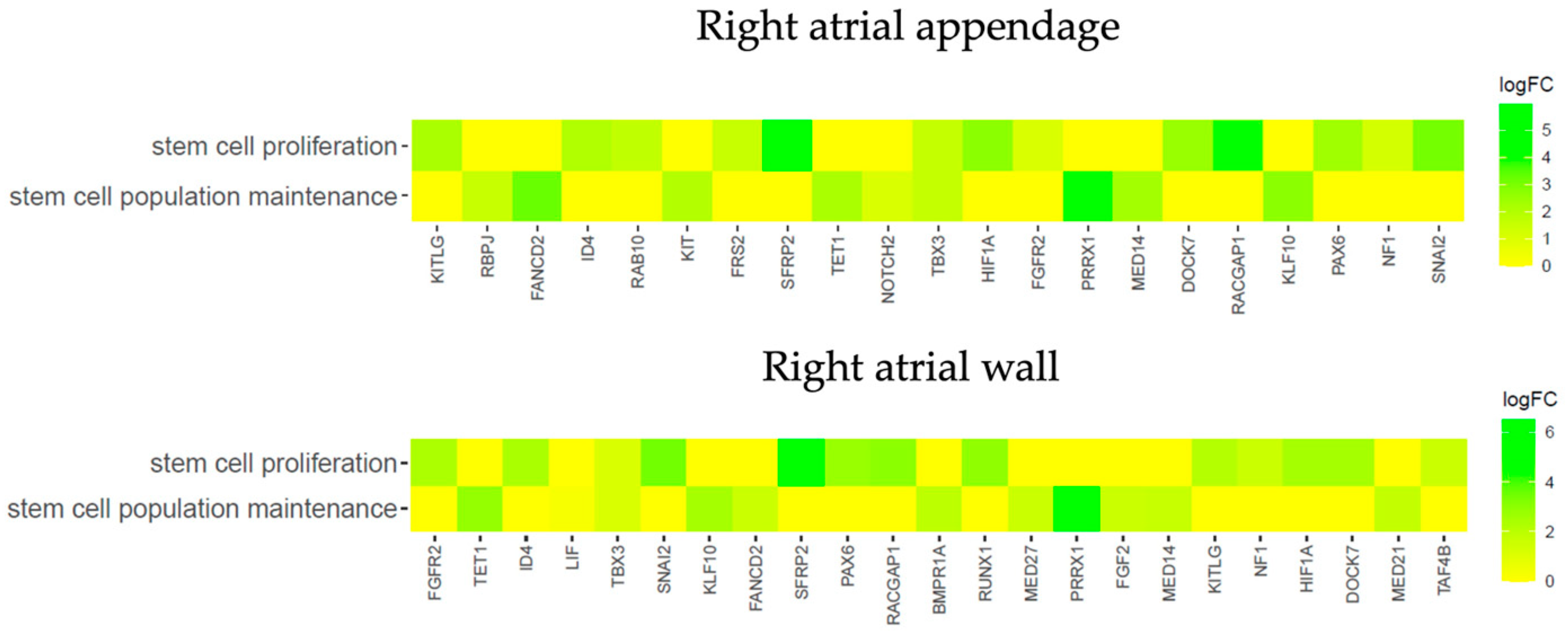 Genes 14 01223 g007 Genes 14 01223 g007
