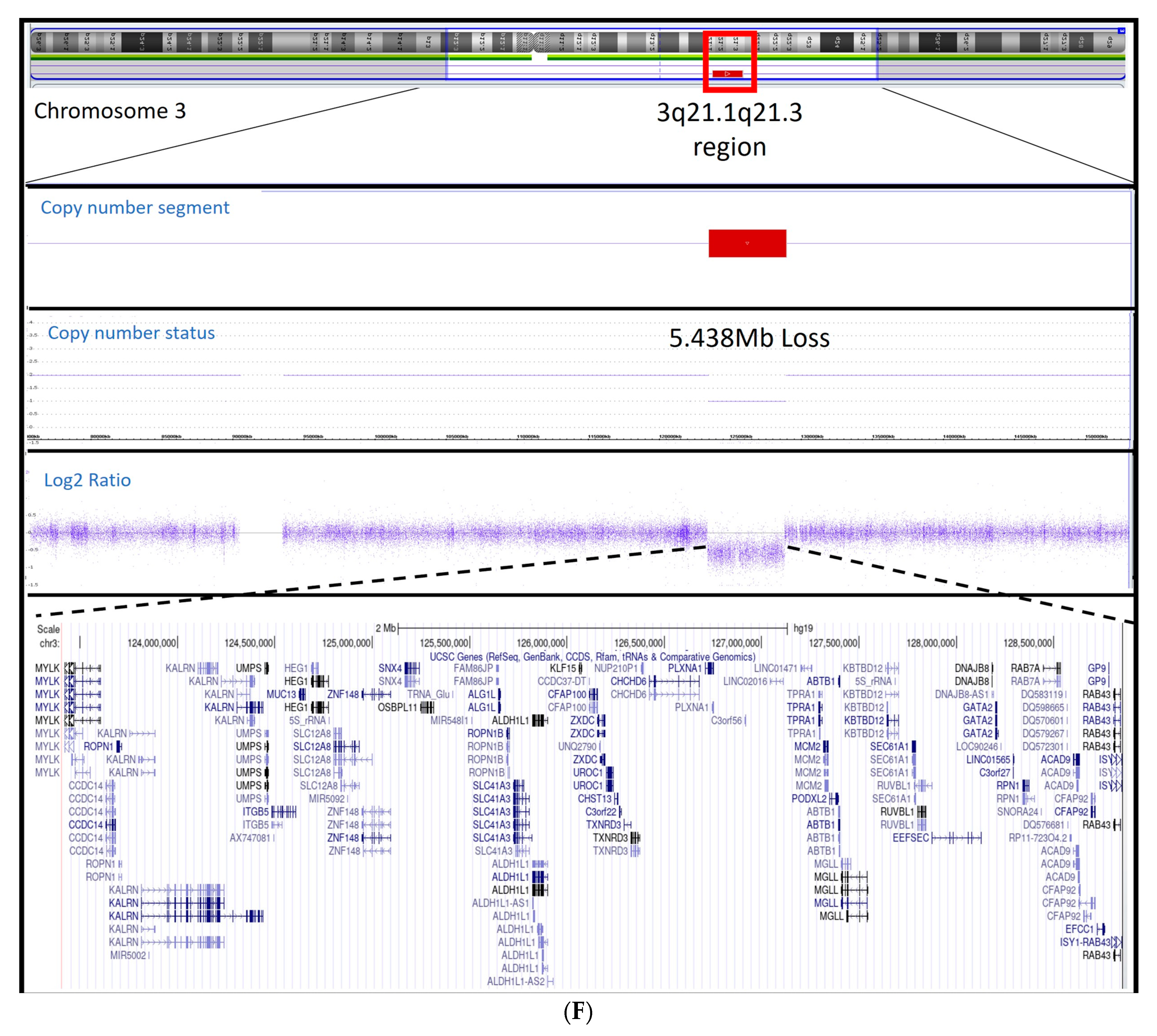 Genes 14 01225 g001c Genes 14 01225 g001c