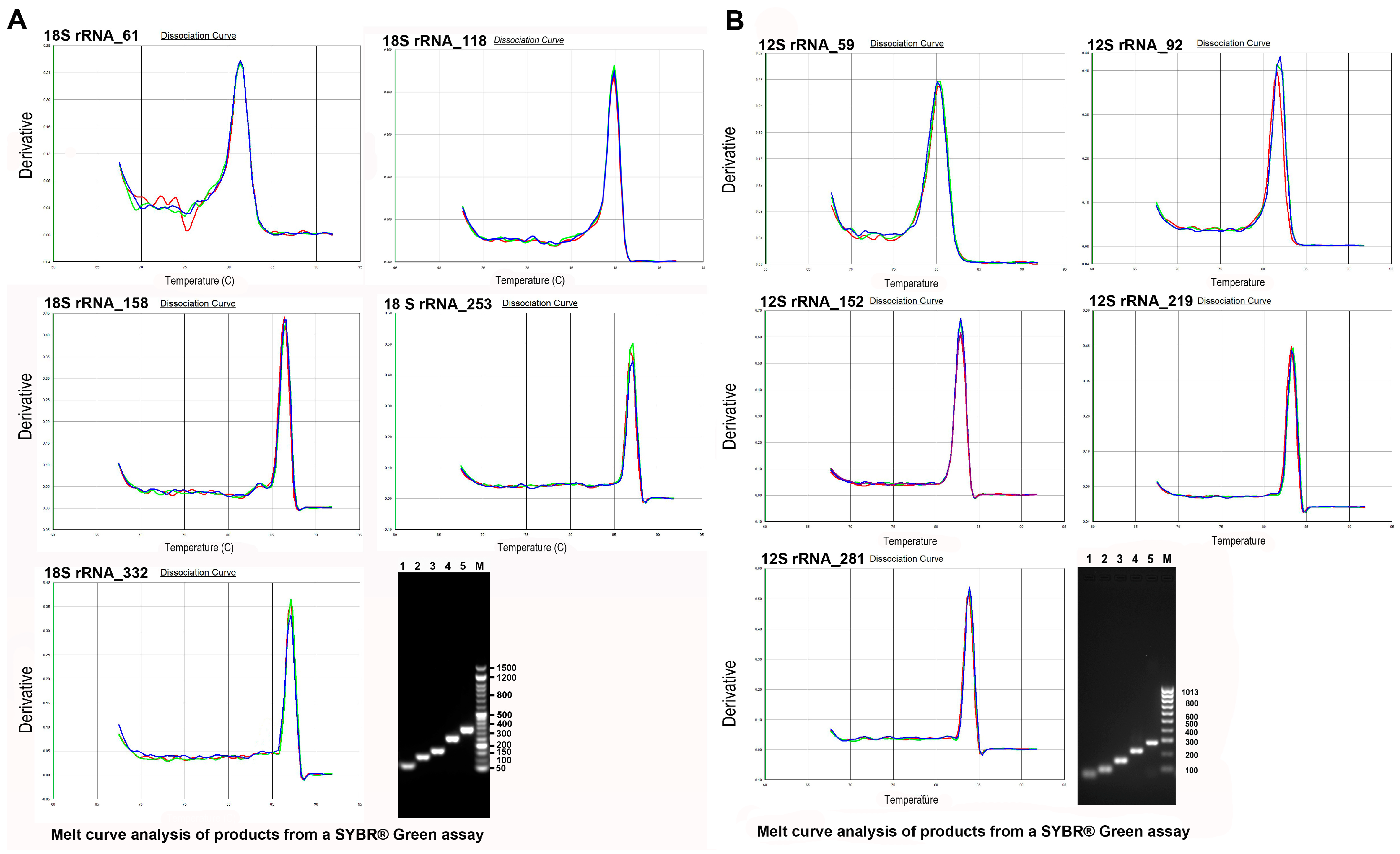 Genes 14 01238 g003 Genes 14 01238 g003