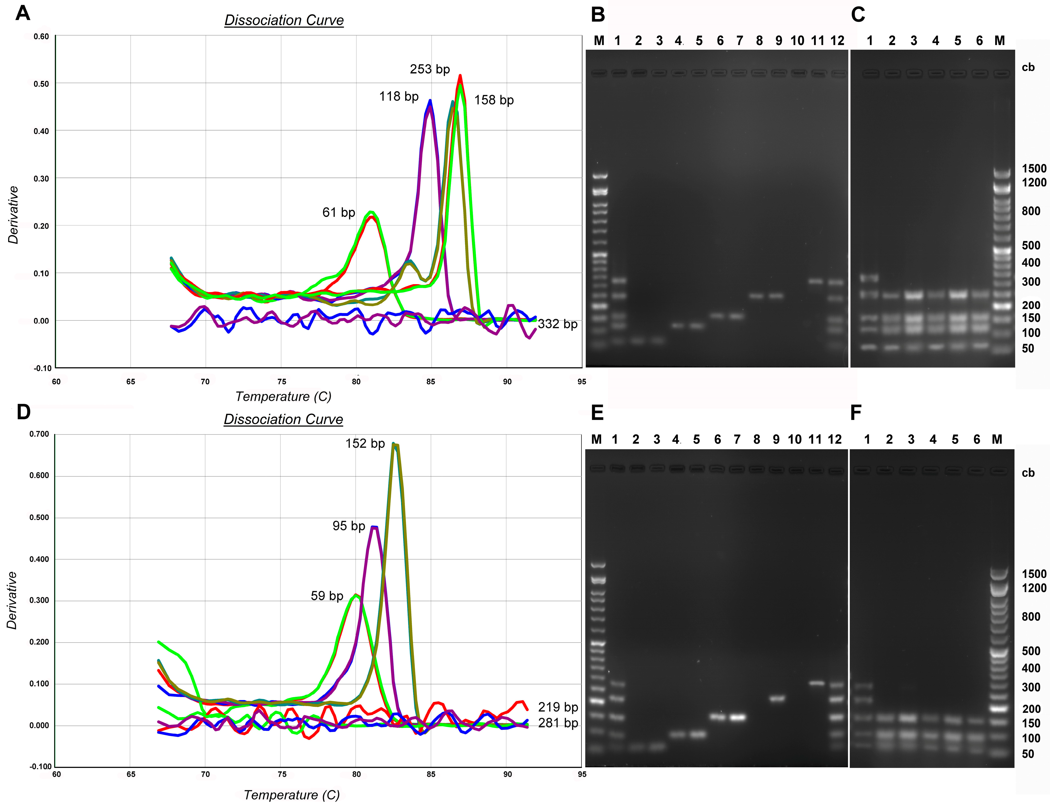 Genes 14 01238 g007 Genes 14 01238 g007