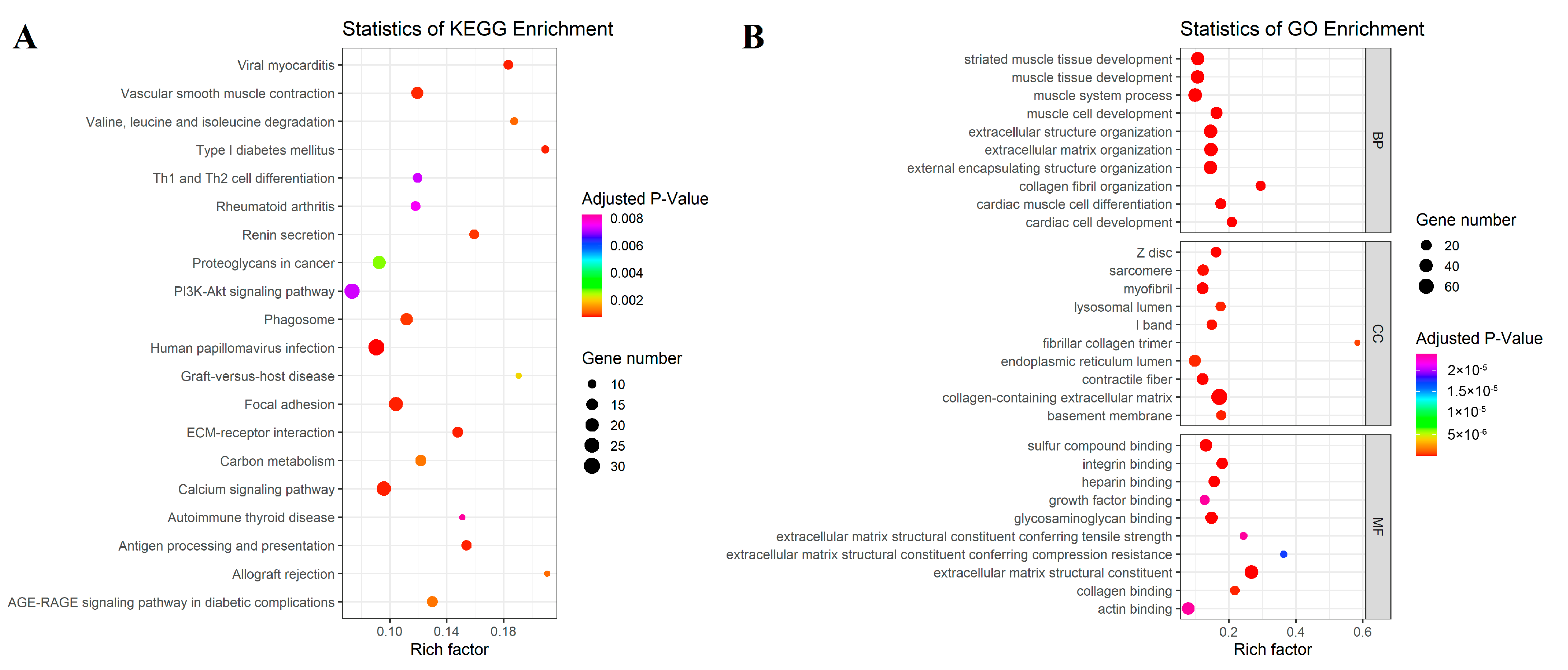 Genes 14 01243 g002 Genes 14 01243 g002