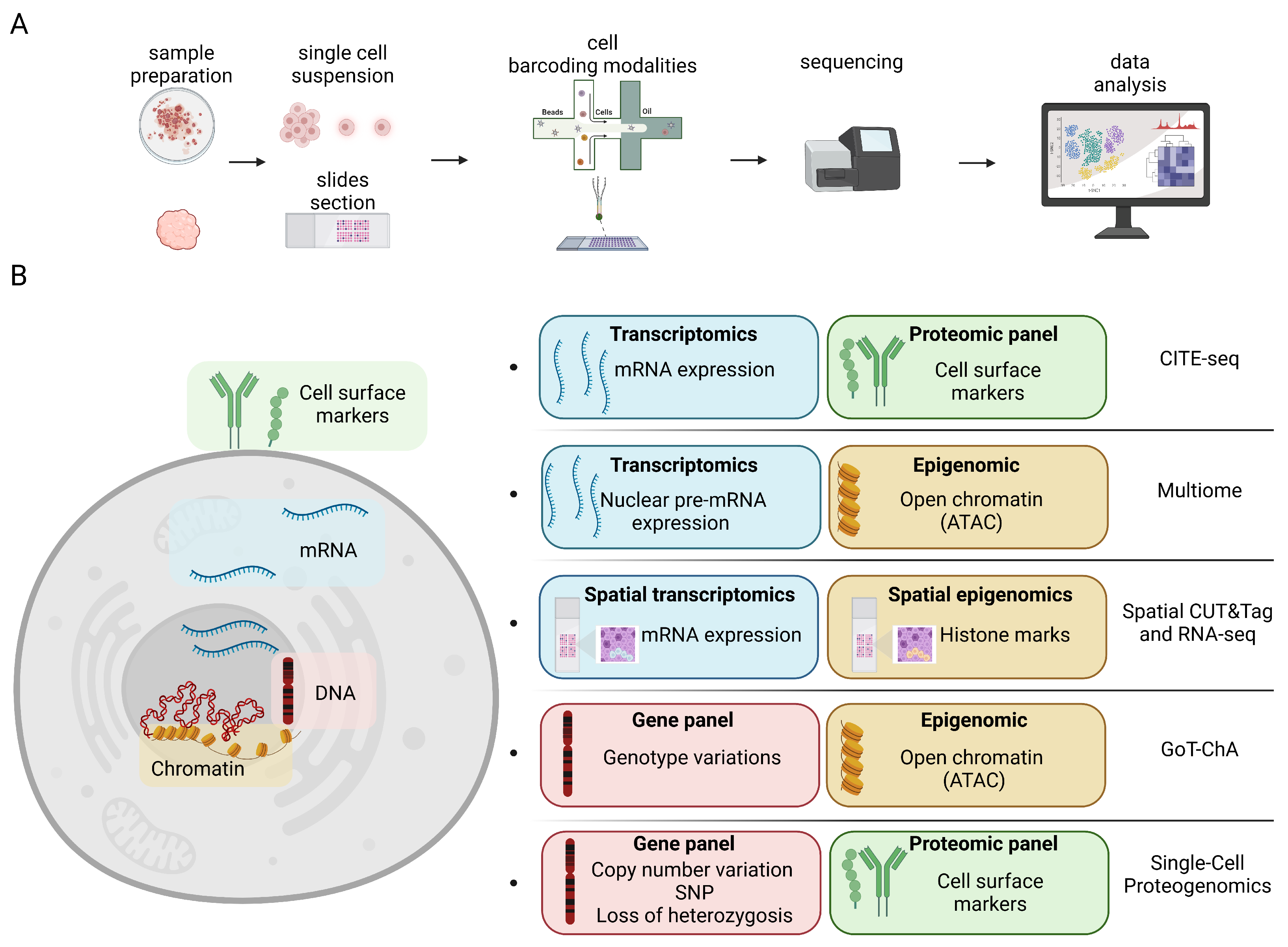 Genes 14 01245 g001 Genes 14 01245 g001