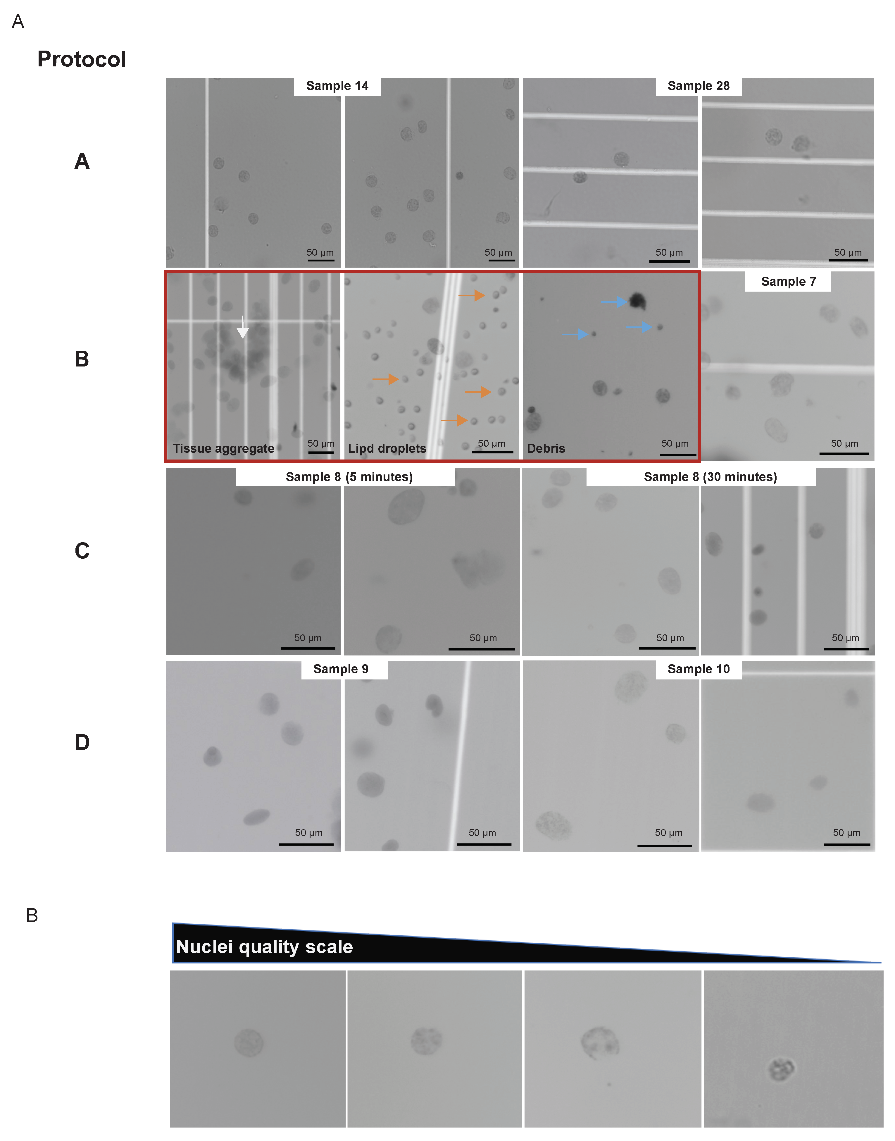 Genes 14 01245 g003 Genes 14 01245 g003