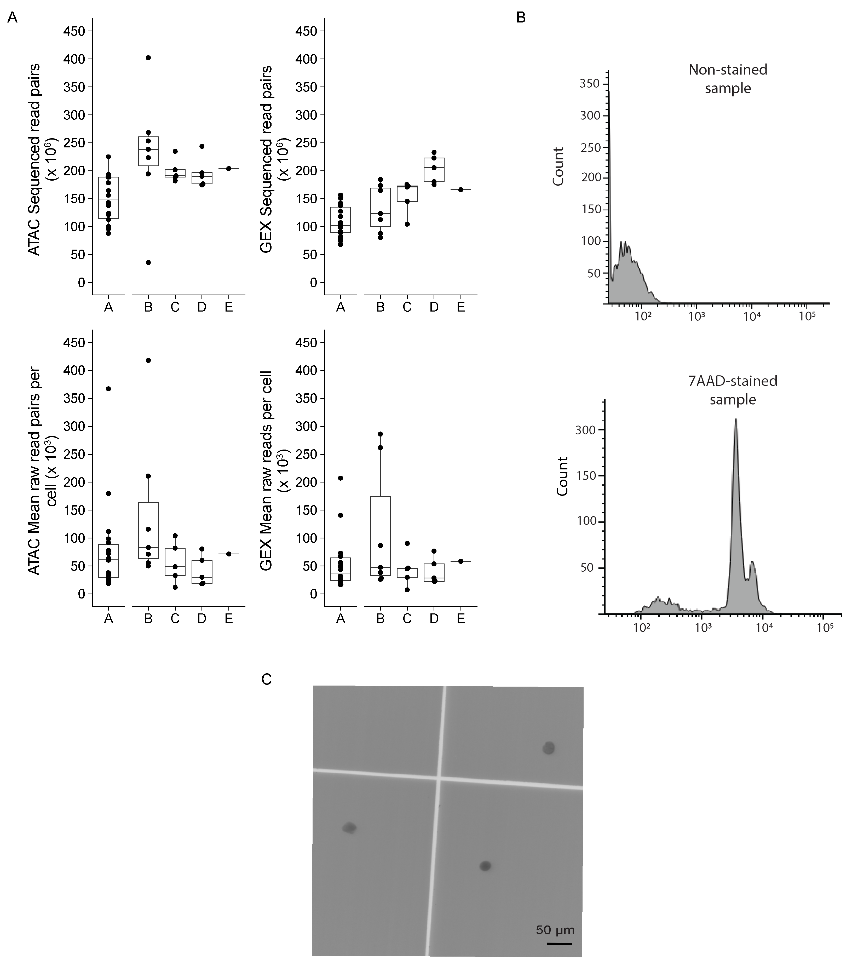 Genes 14 01245 g0a1 Genes 14 01245 g0a1