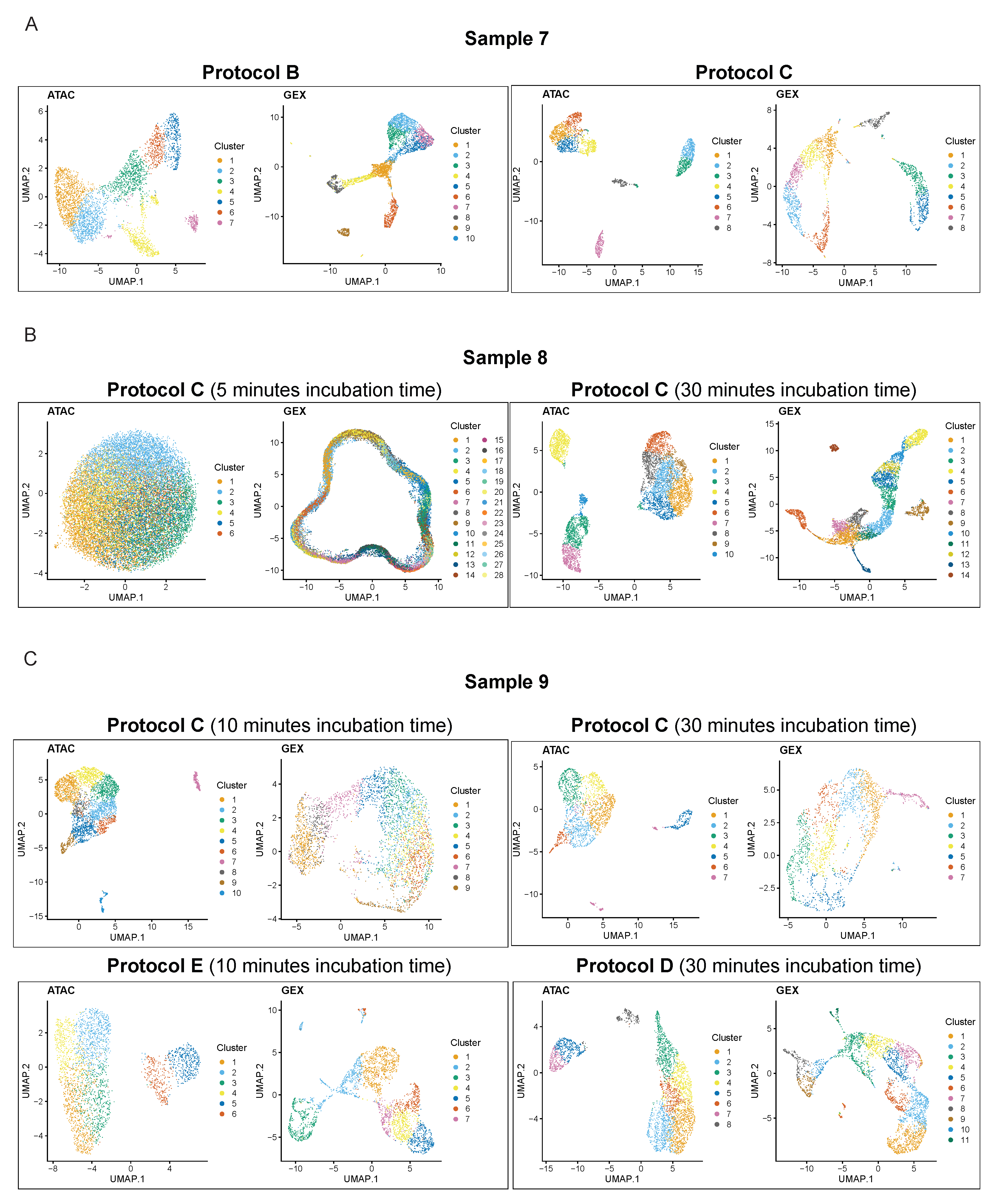 Genes 14 01245 g0a3 Genes 14 01245 g0a3