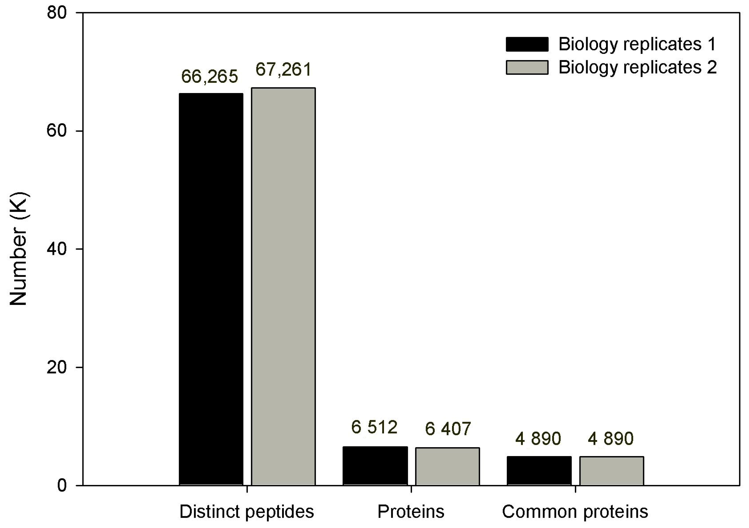 Genes 14 01247 g002