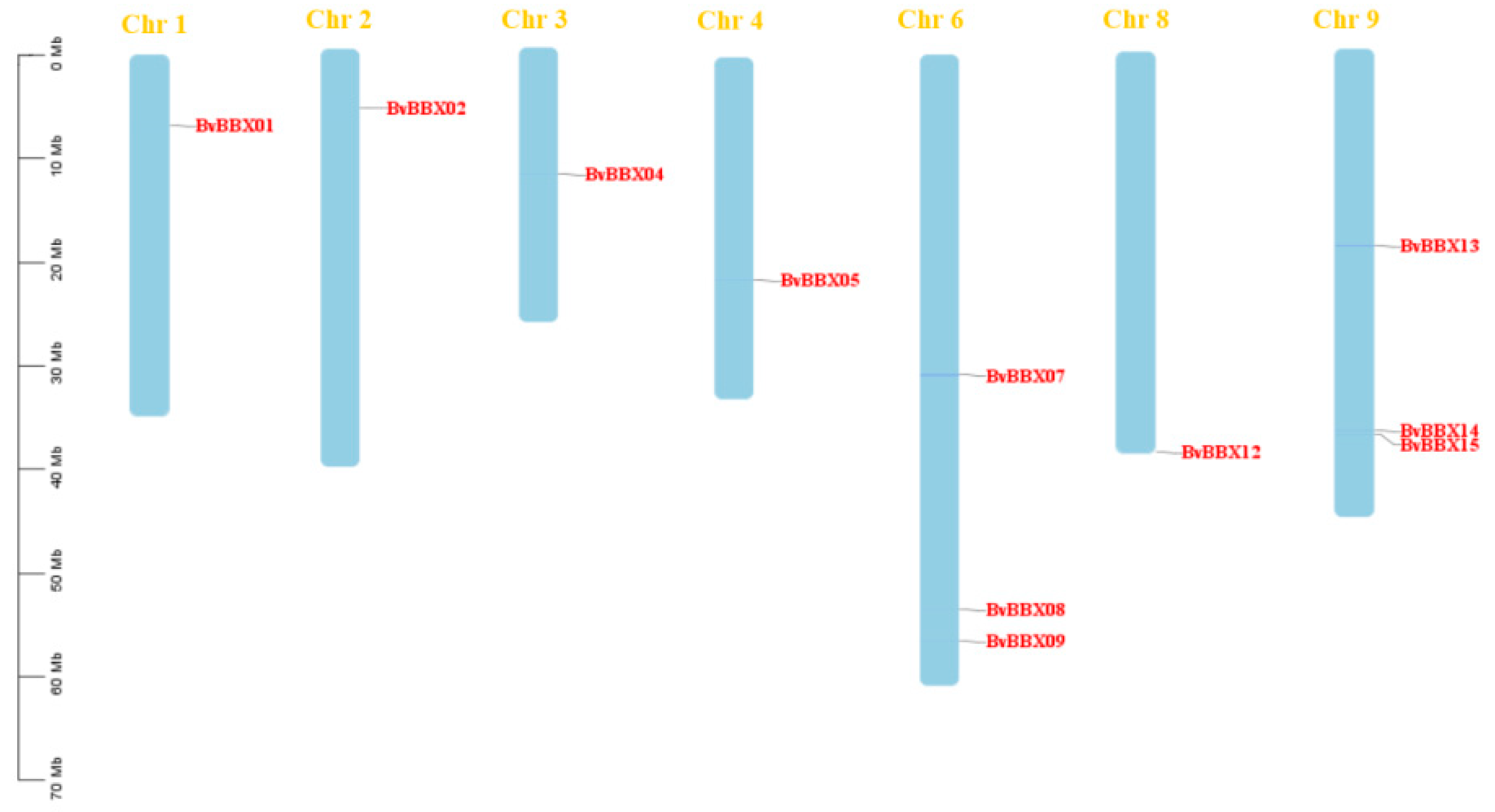 Genes 14 01248 g001 Genes 14 01248 g001