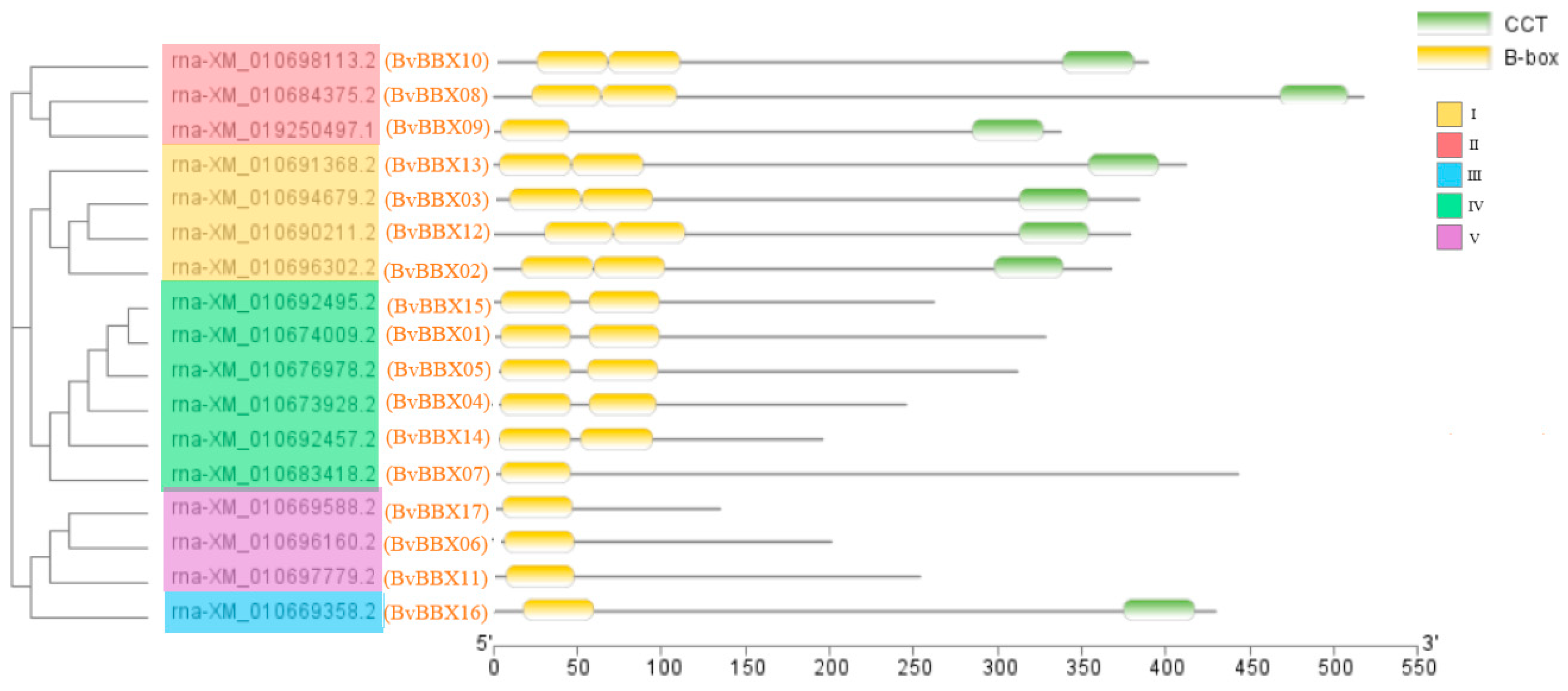 Genes 14 01248 g002 Genes 14 01248 g002