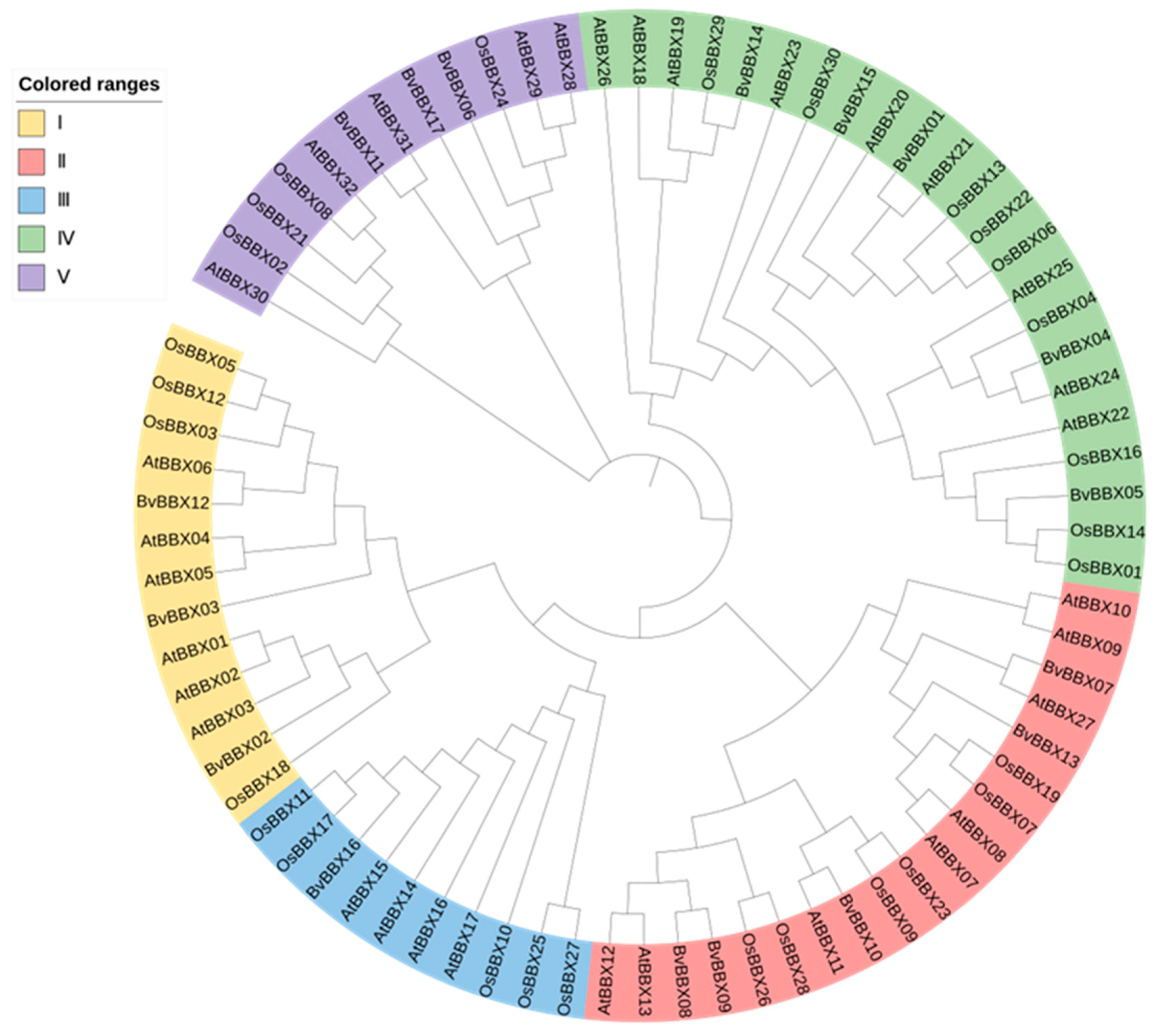 Genes 14 01248 g005 Genes 14 01248 g005
