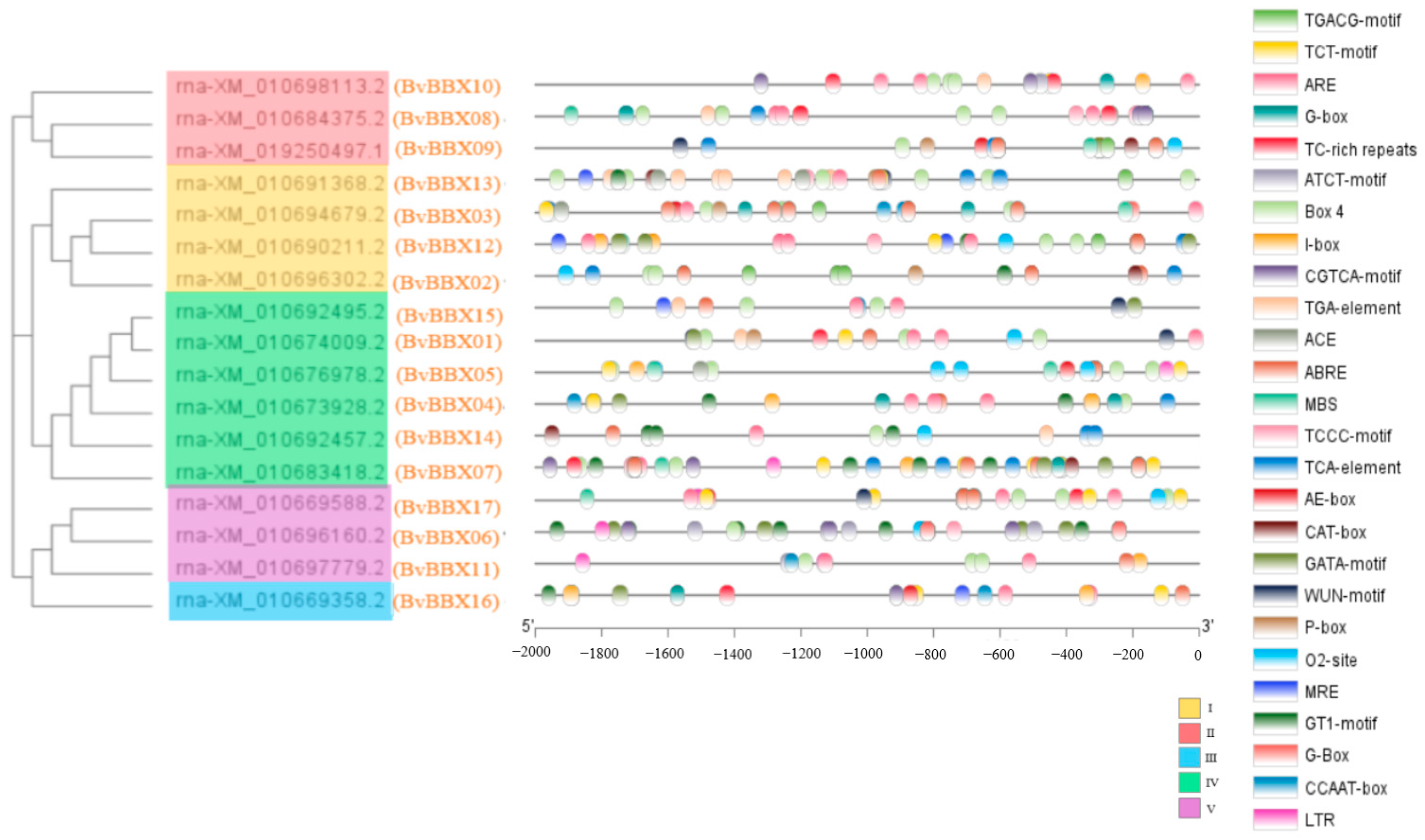 Genes 14 01248 g006 Genes 14 01248 g006