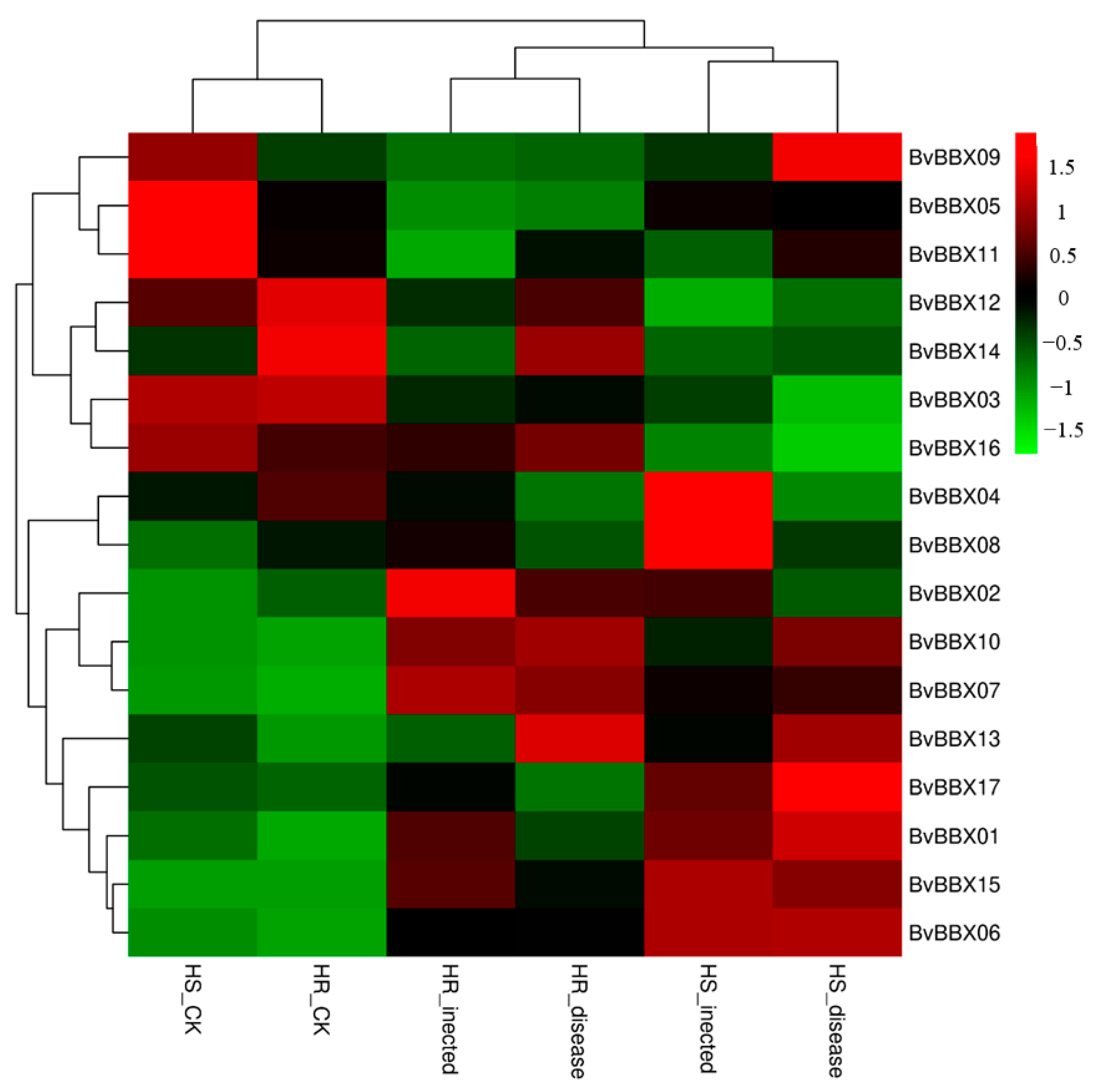 Genes 14 01248 g007 Genes 14 01248 g007