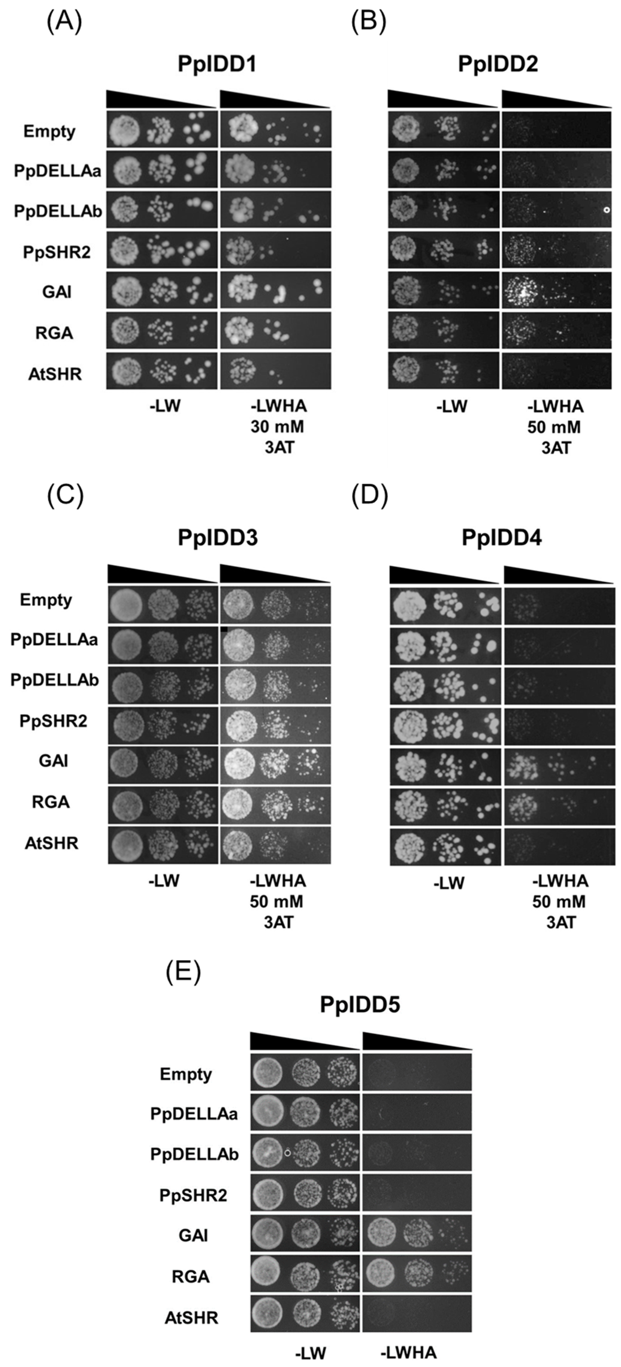 Genes 14 01249 g003a Genes 14 01249 g003a