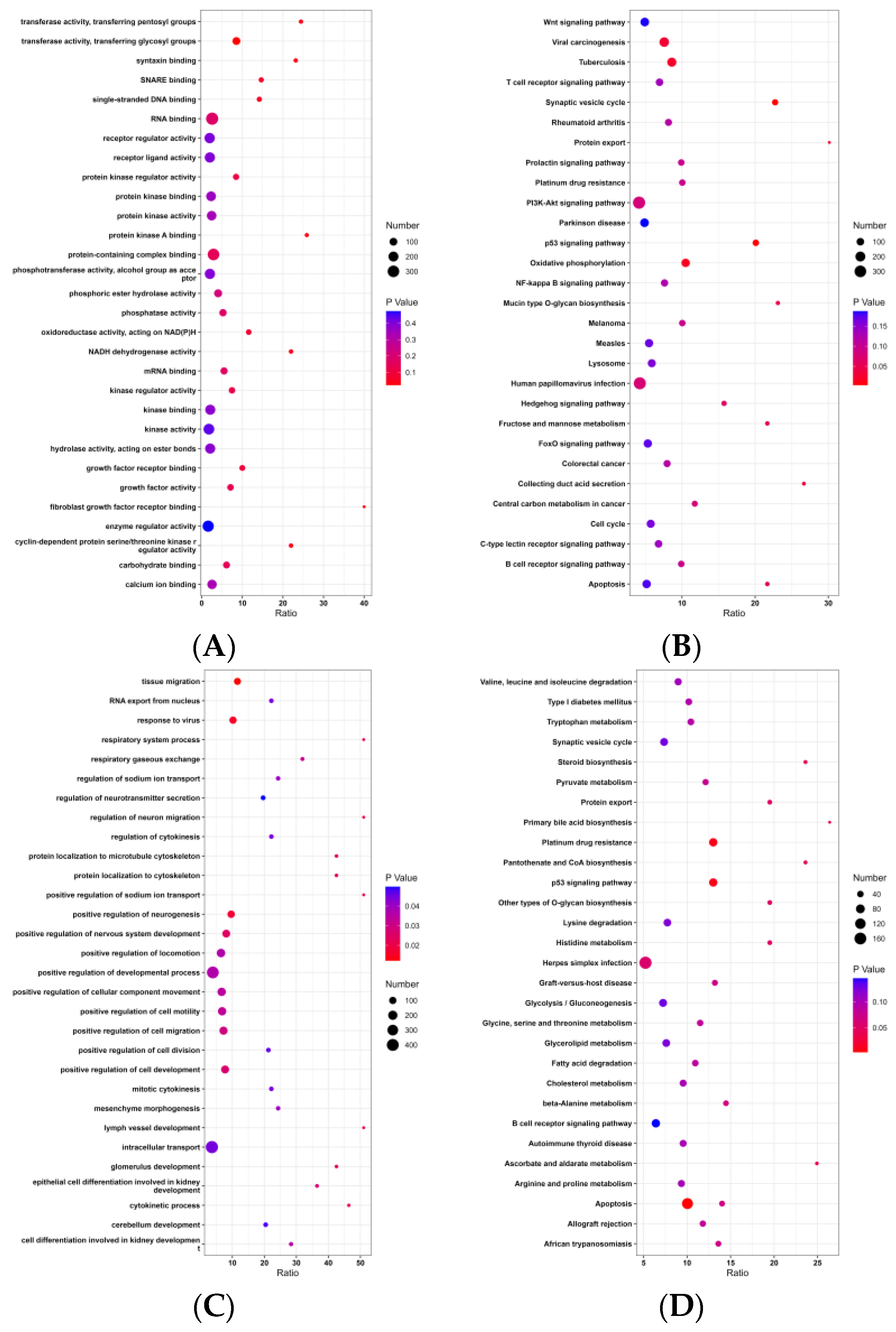 Genes 14 01258 g004 Genes 14 01258 g004