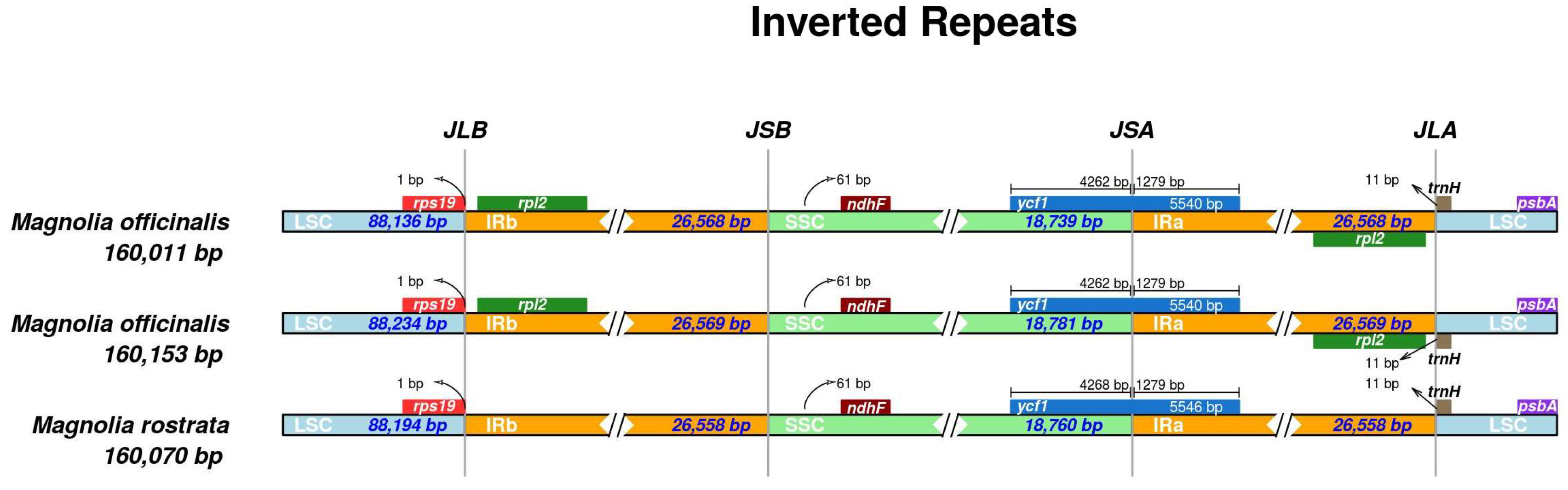 Genes 14 01262 g004 Genes 14 01262 g004