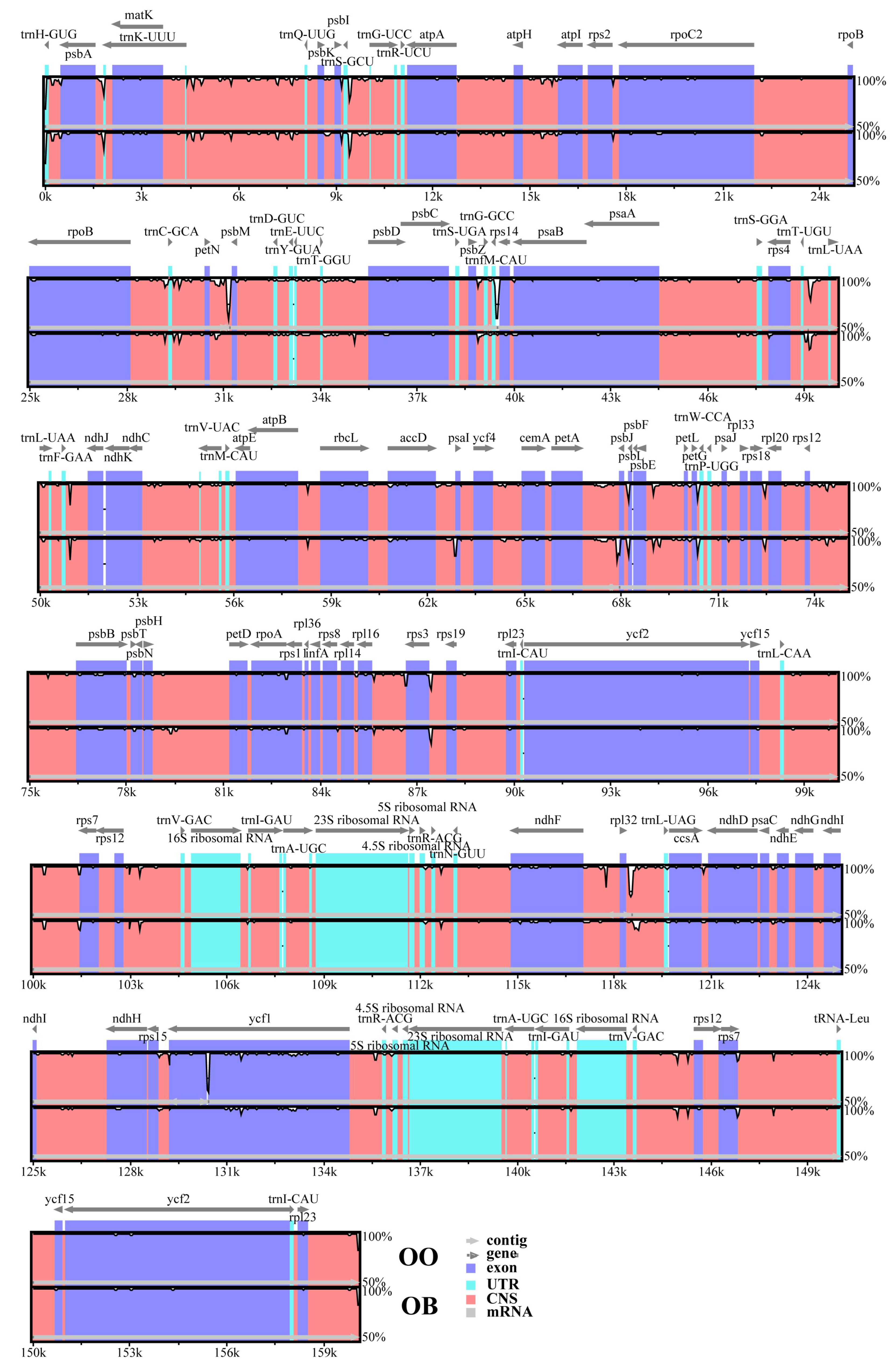 Genes 14 01262 g005 Genes 14 01262 g005