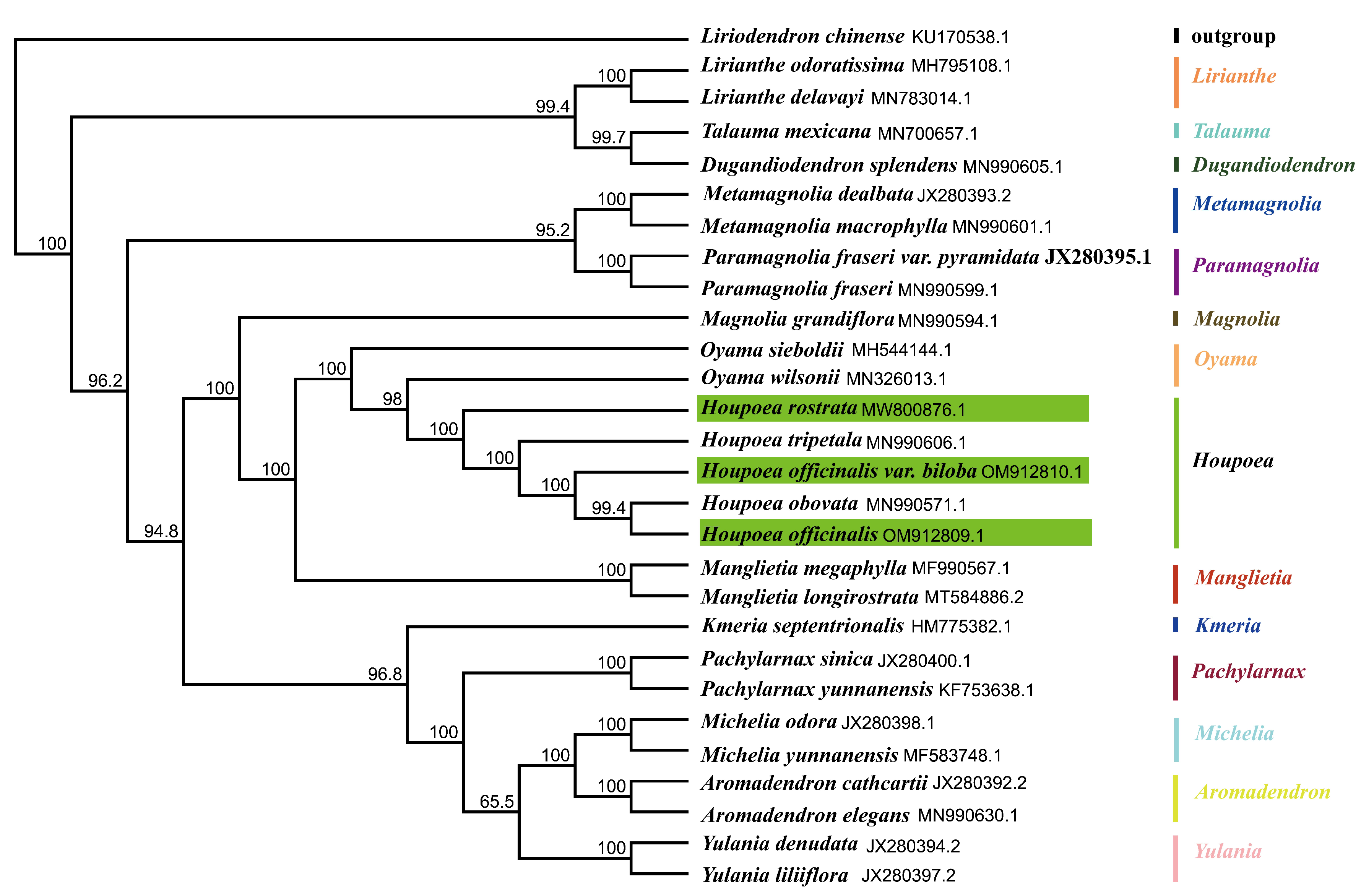 Genes 14 01262 g007 Genes 14 01262 g007