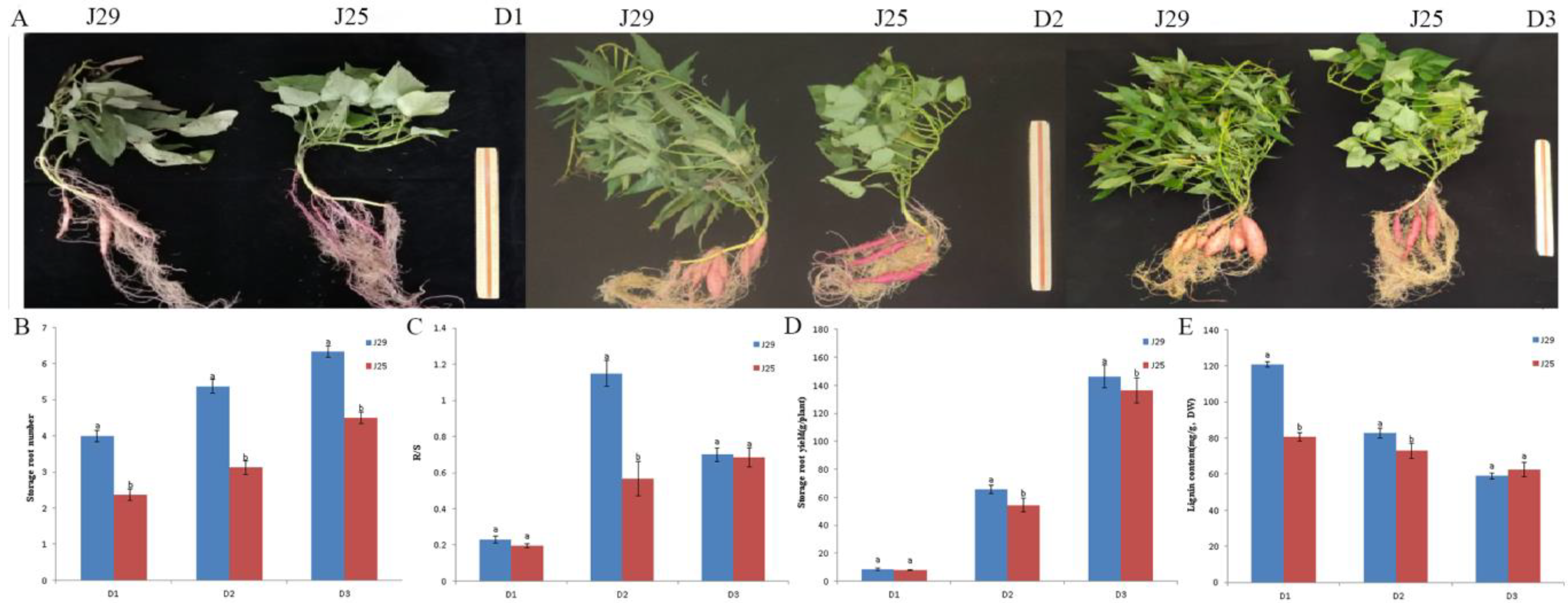 Genes 14 01263 g001 Genes 14 01263 g001