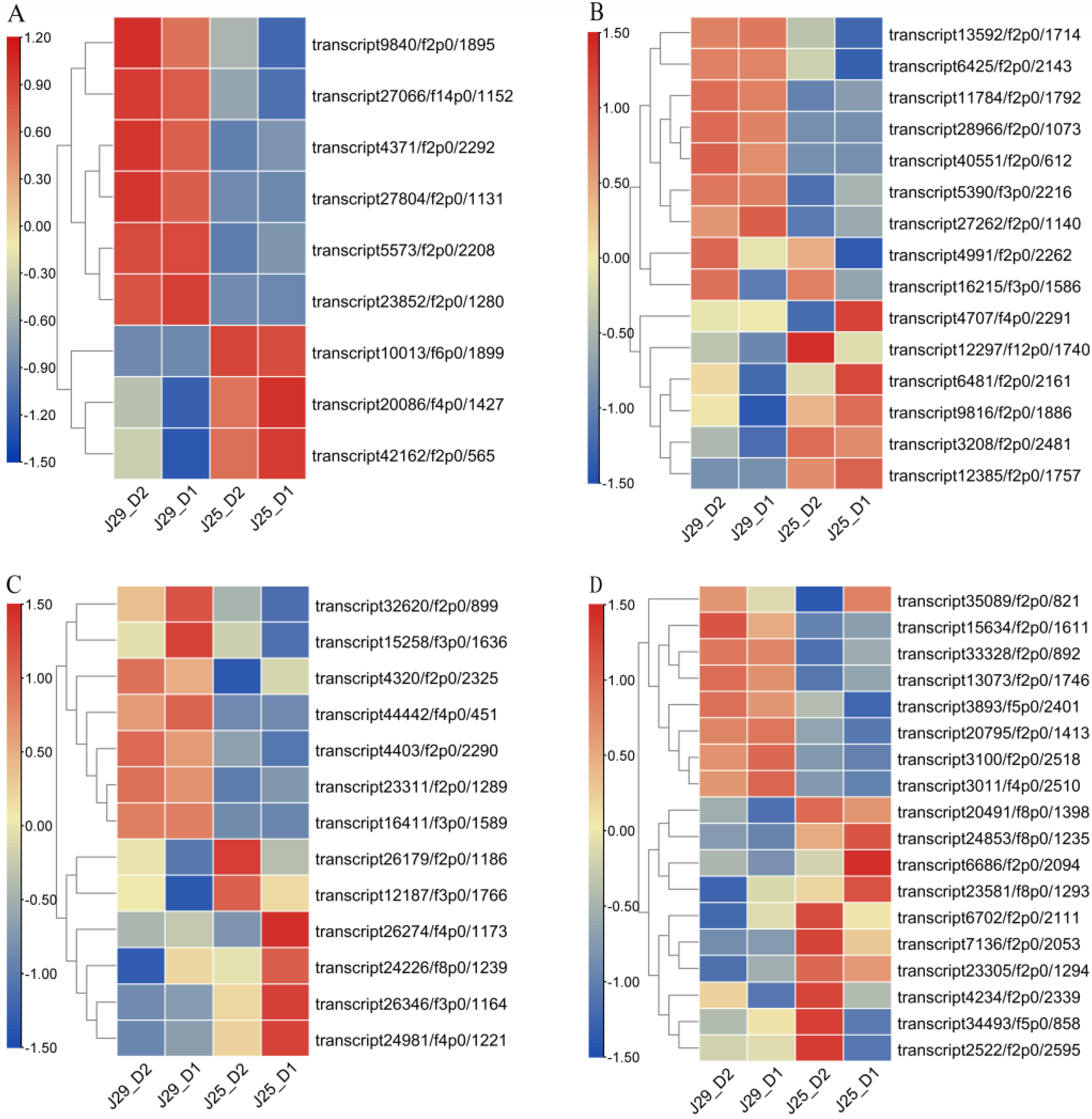 Genes 14 01263 g005 Genes 14 01263 g005