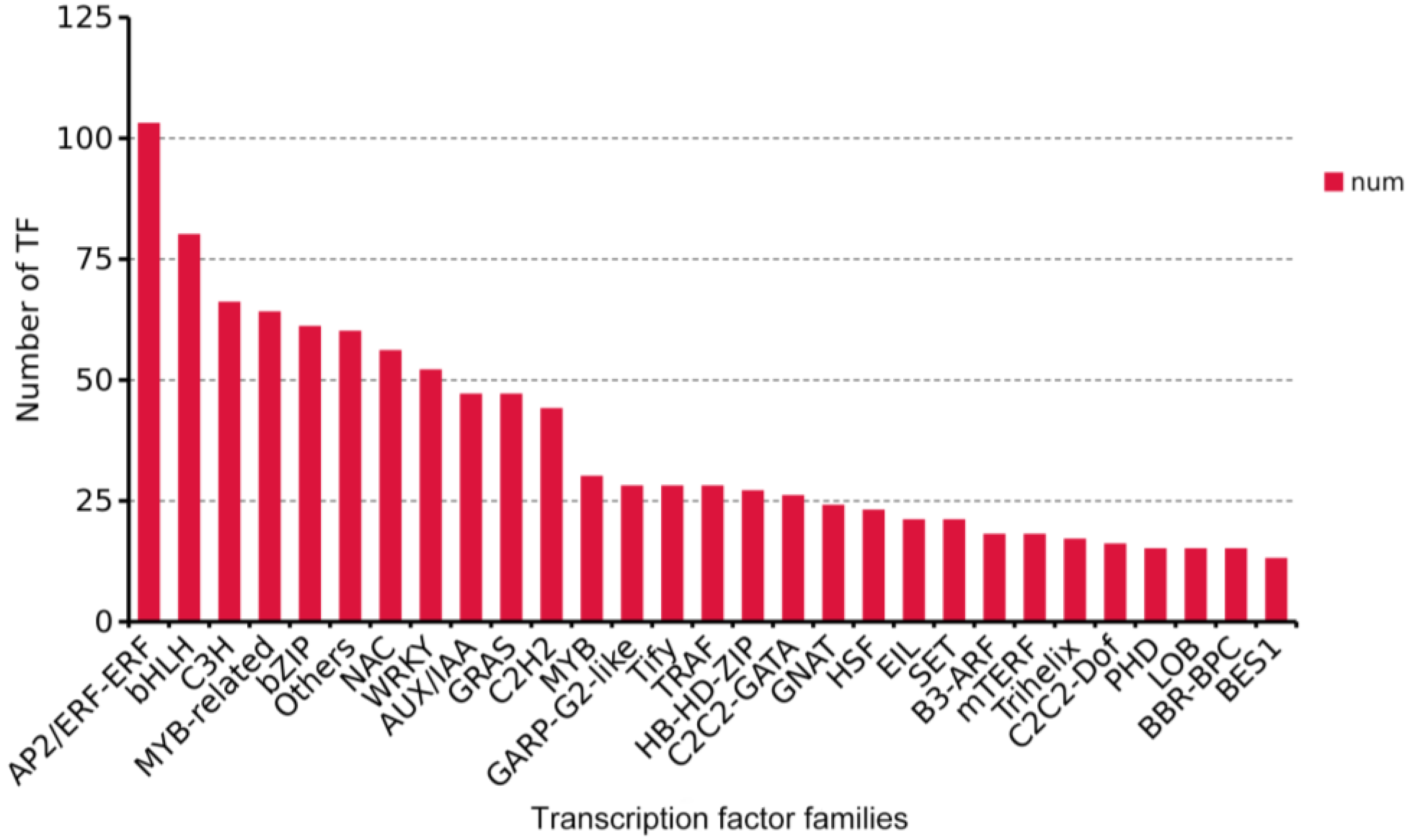 Genes 14 01263 g006 Genes 14 01263 g006