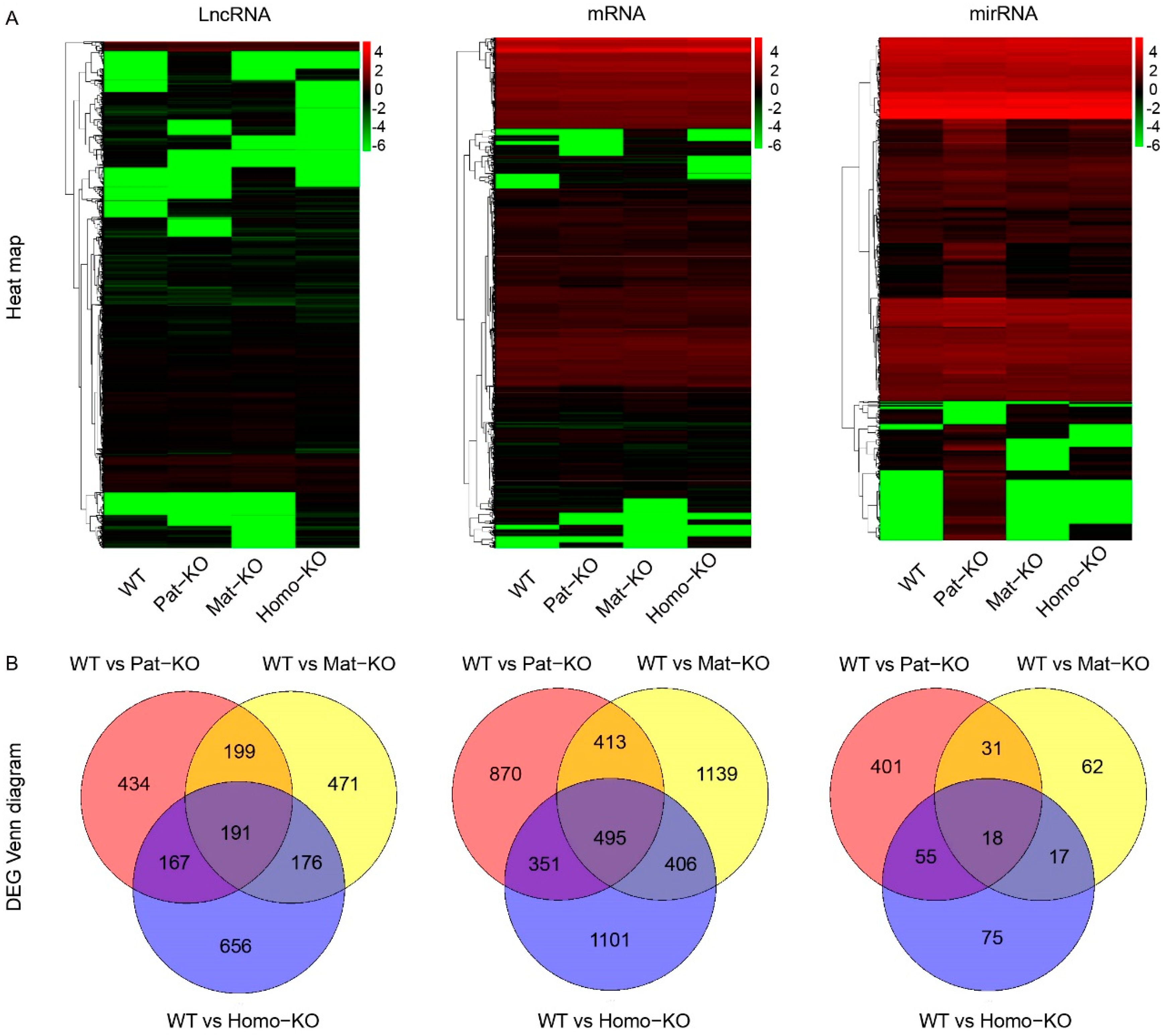 Genes 14 01264 g002 Genes 14 01264 g002
