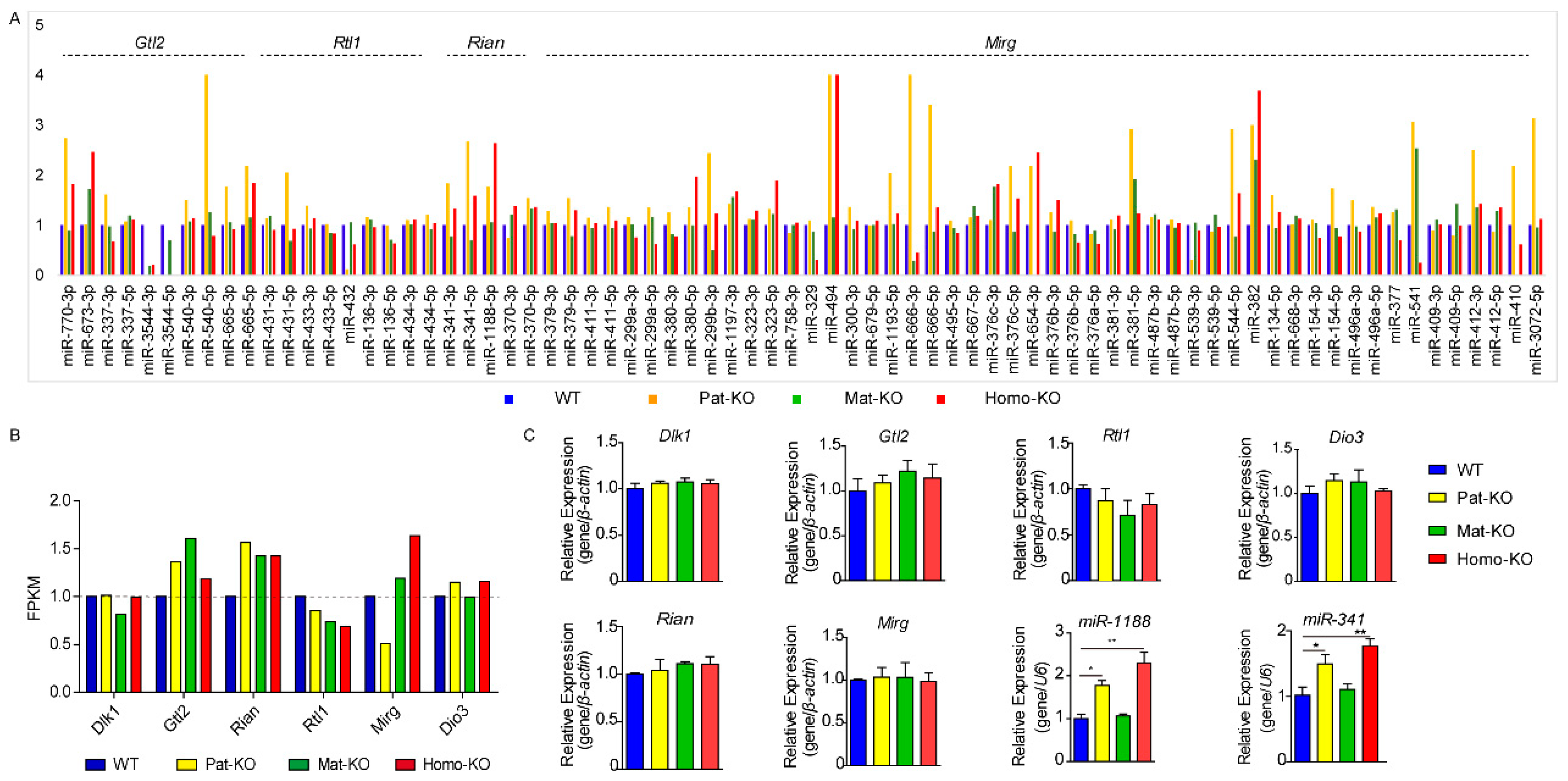Genes 14 01264 g005 Genes 14 01264 g005