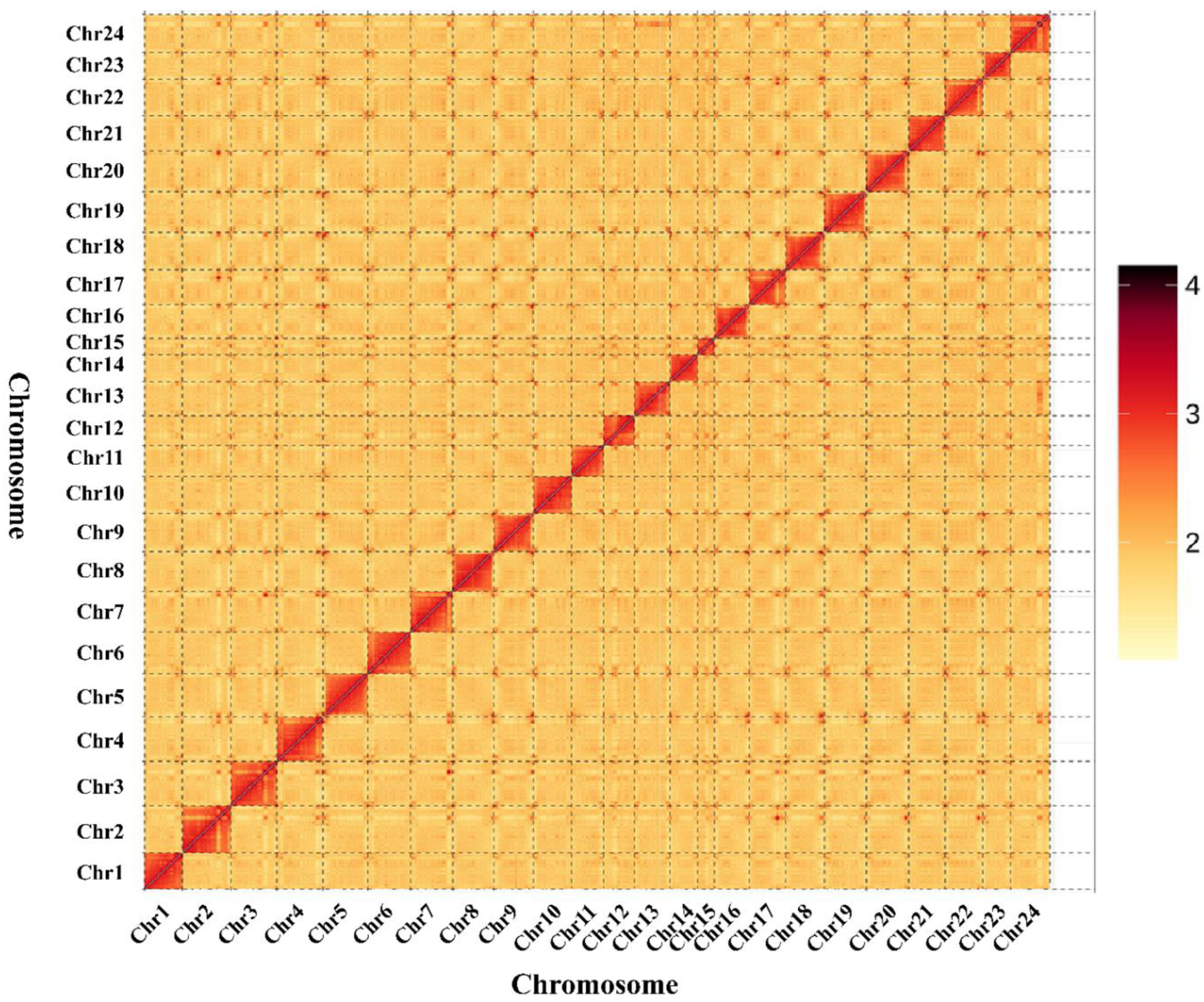 Genes 14 01268 g002 Genes 14 01268 g002