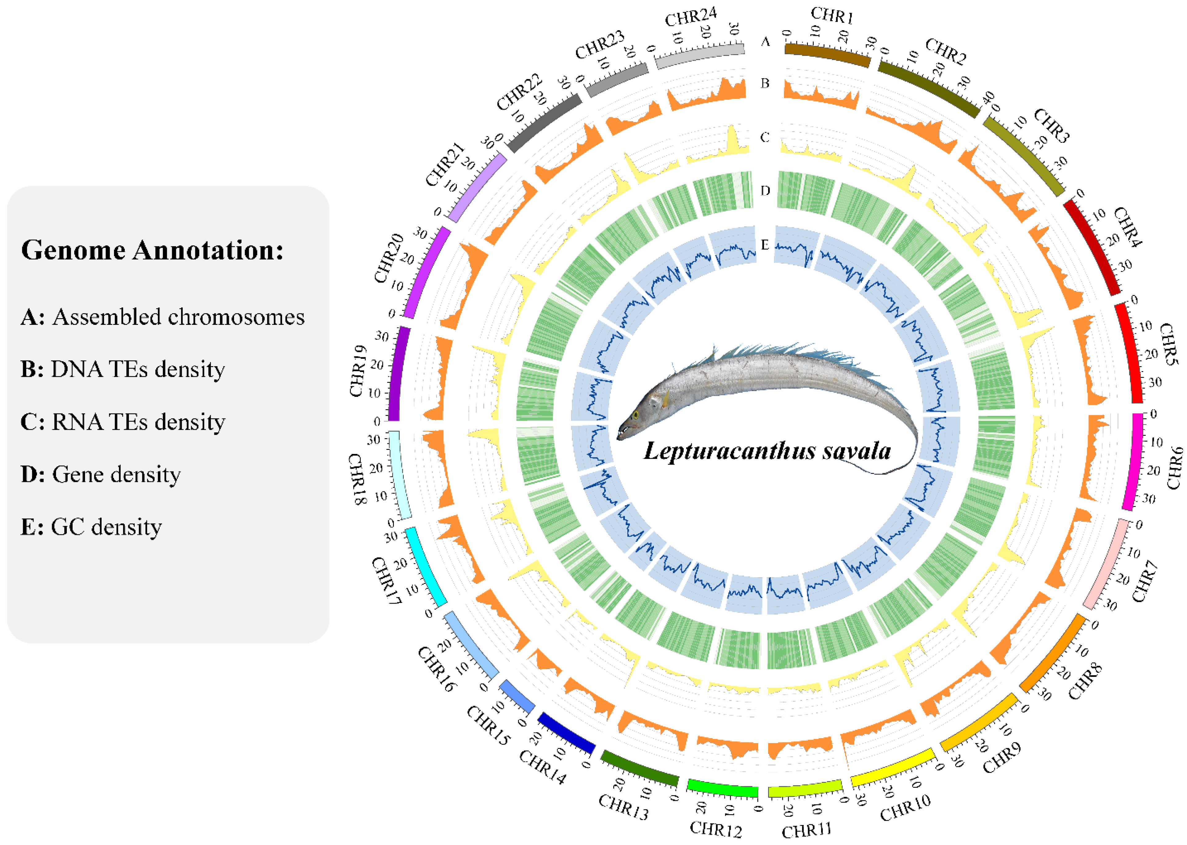 Genes 14 01268 g003 Genes 14 01268 g003