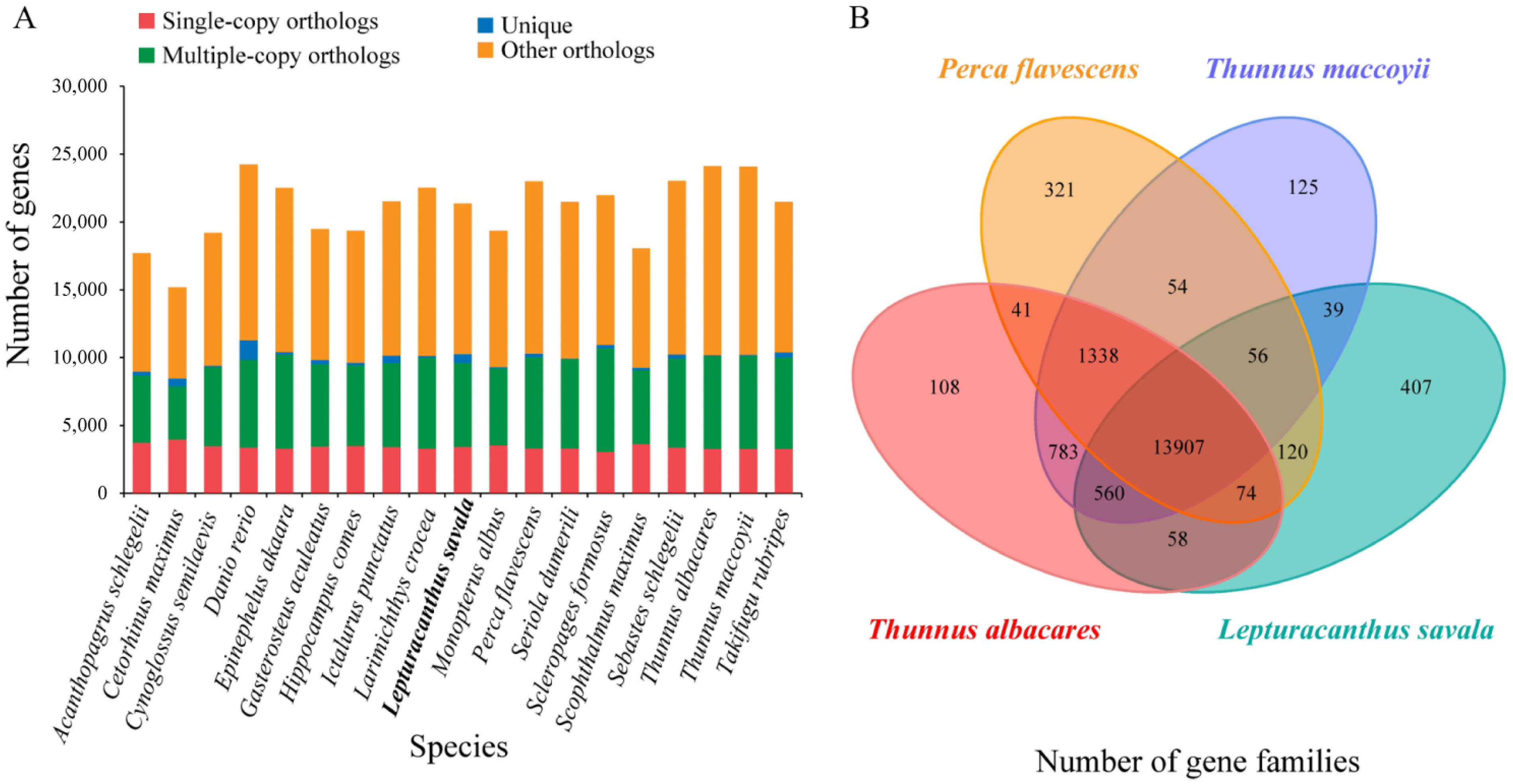 Genes 14 01268 g004 Genes 14 01268 g004