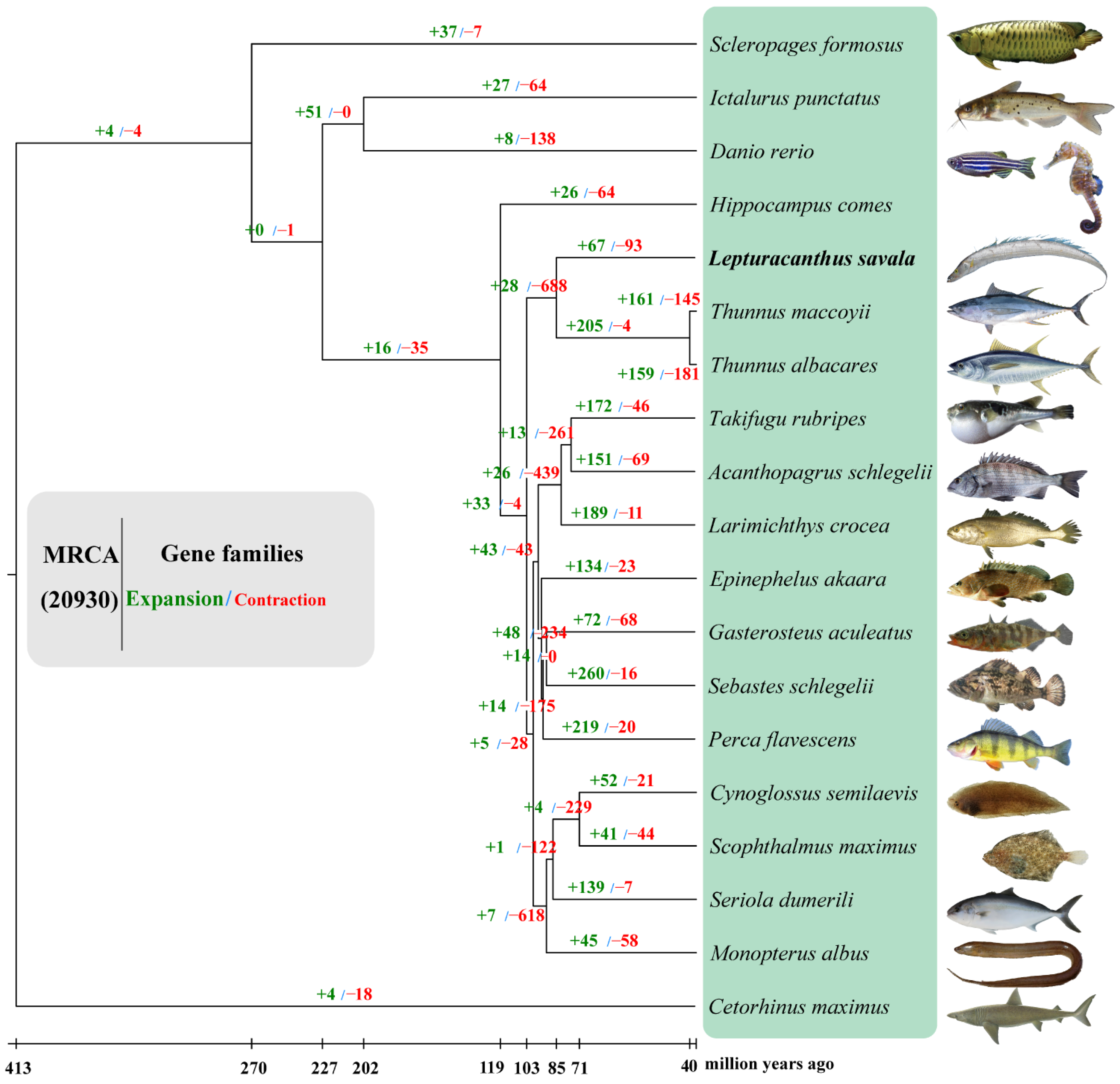 Genes 14 01268 g005 Genes 14 01268 g005