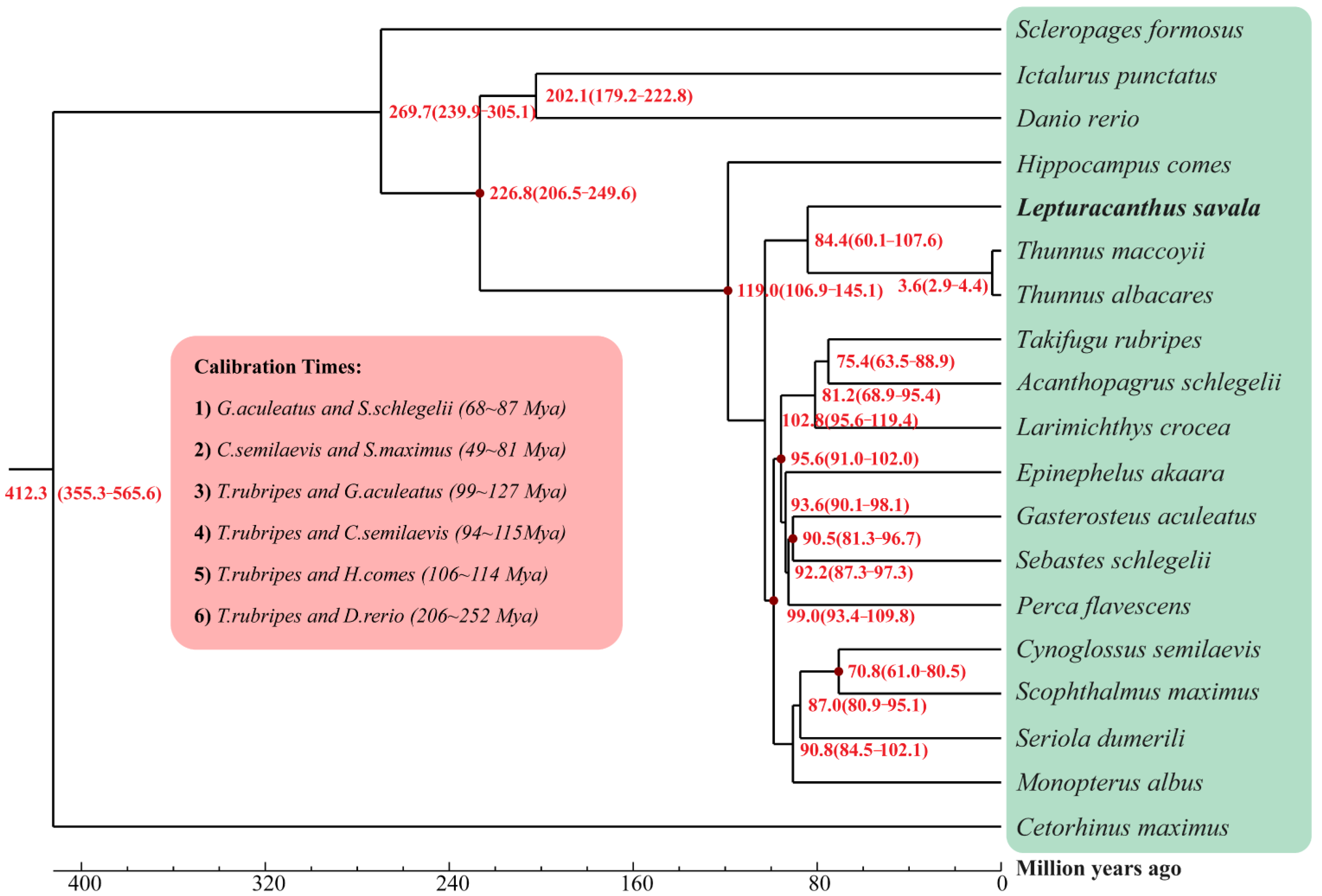 Genes 14 01268 g006 Genes 14 01268 g006