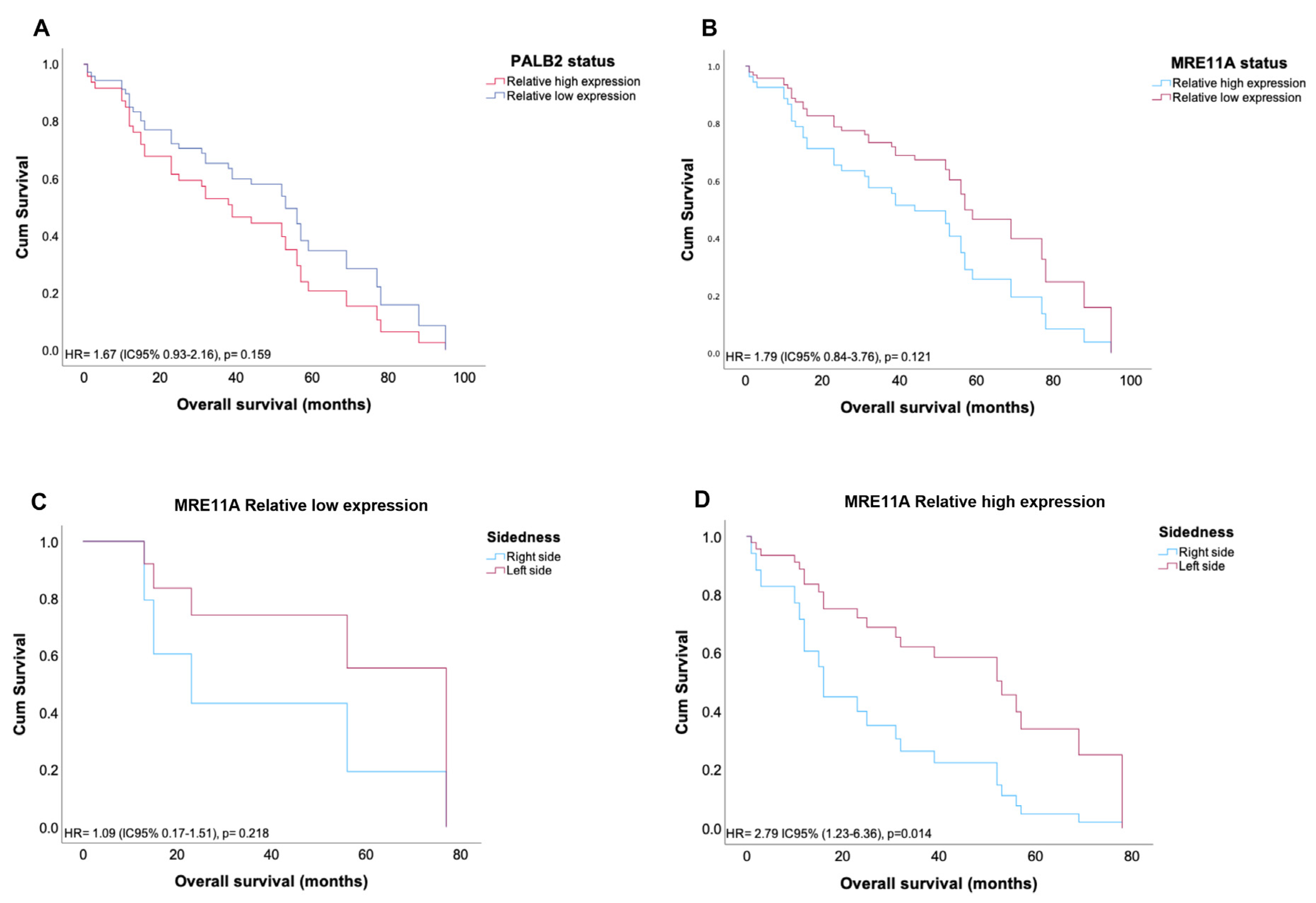 Genes 14 01270 g004 Genes 14 01270 g004