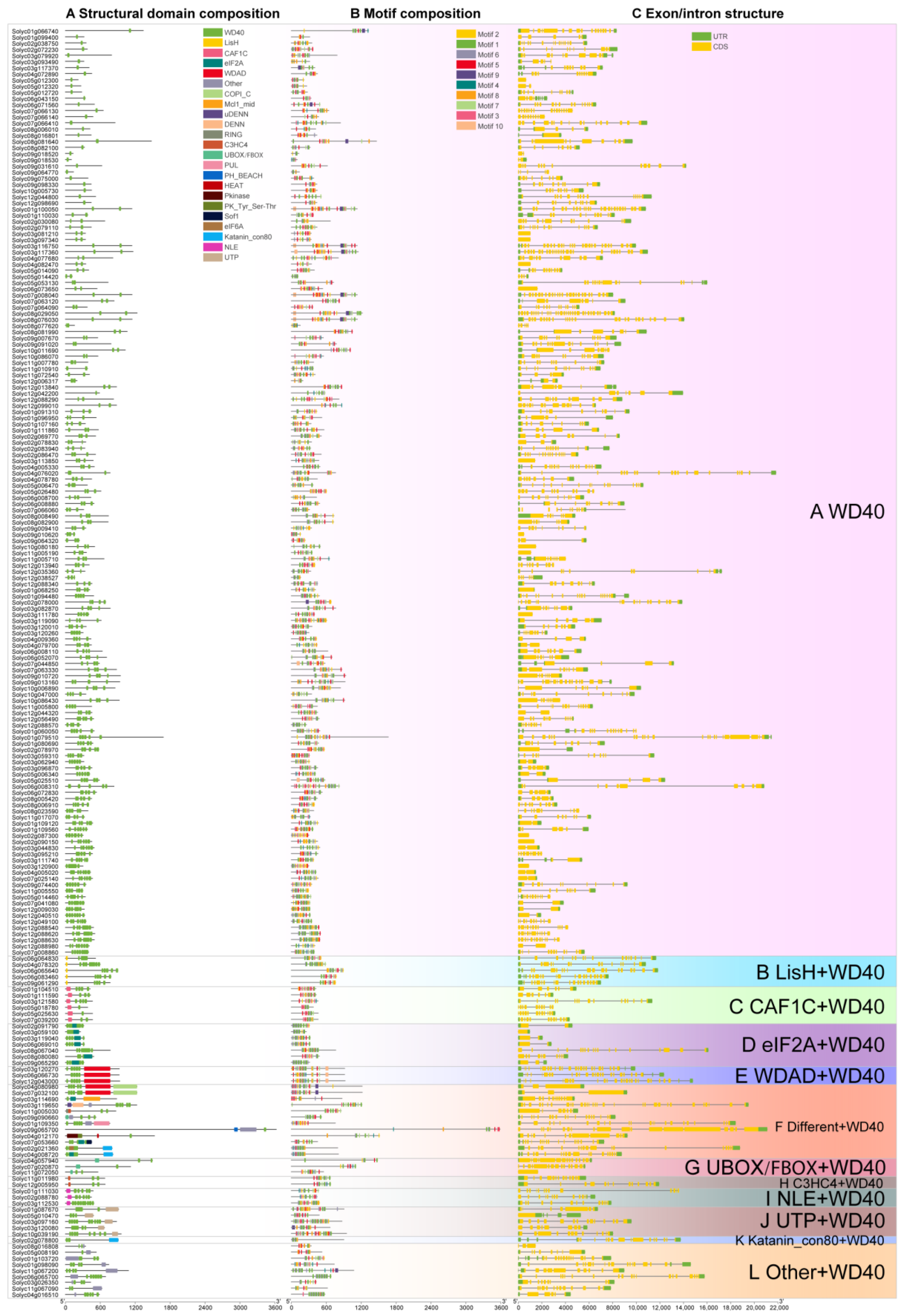 Genes 14 01273 g002 Genes 14 01273 g002