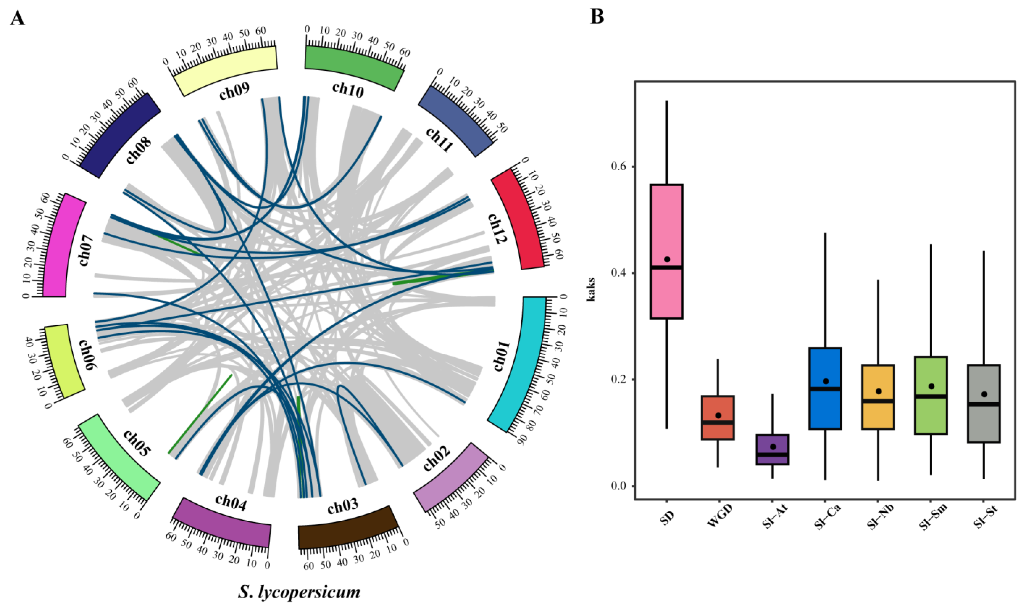 Genes 14 01273 g004 Genes 14 01273 g004