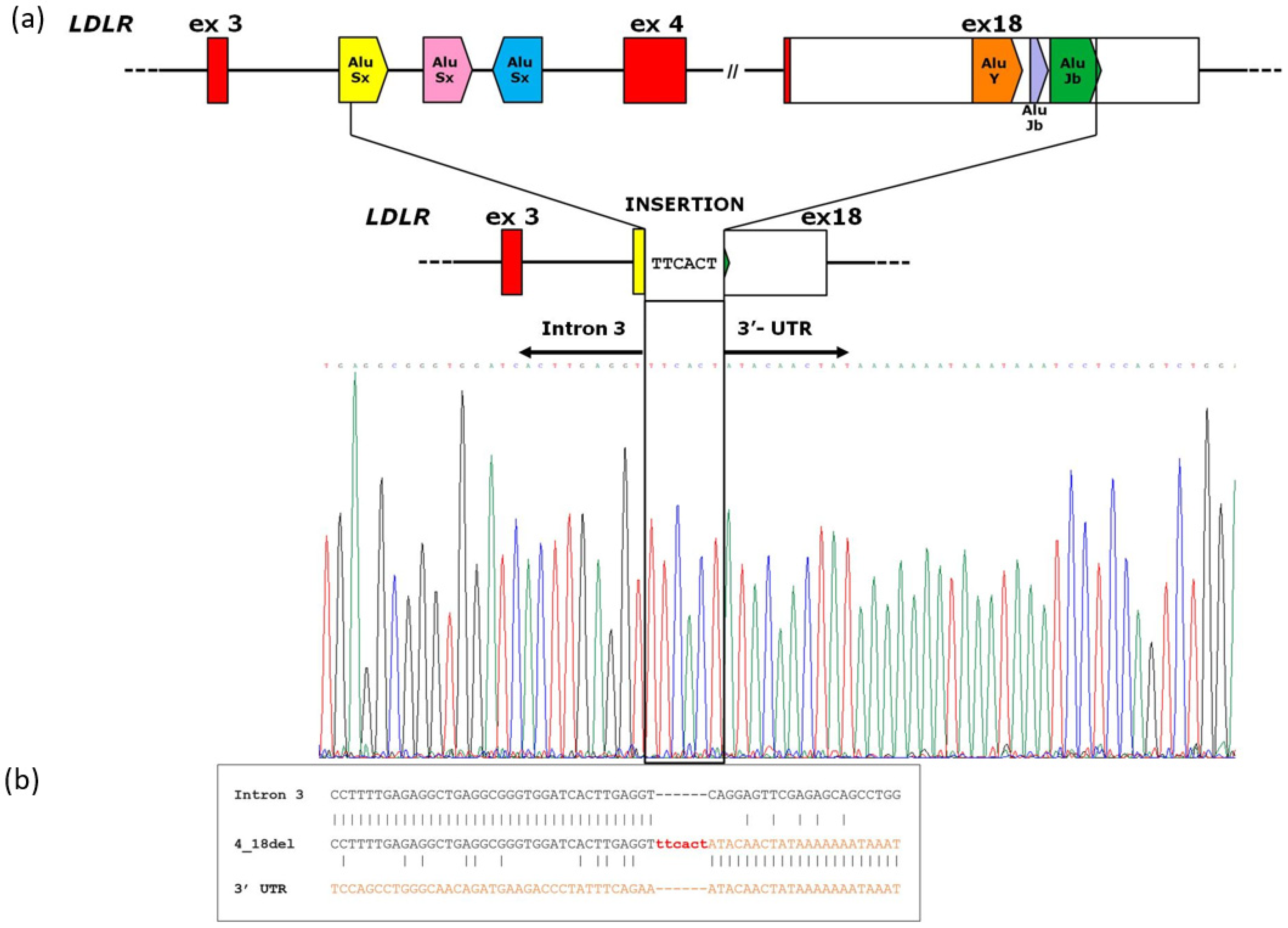 Genes 14 01275 g003 Genes 14 01275 g003