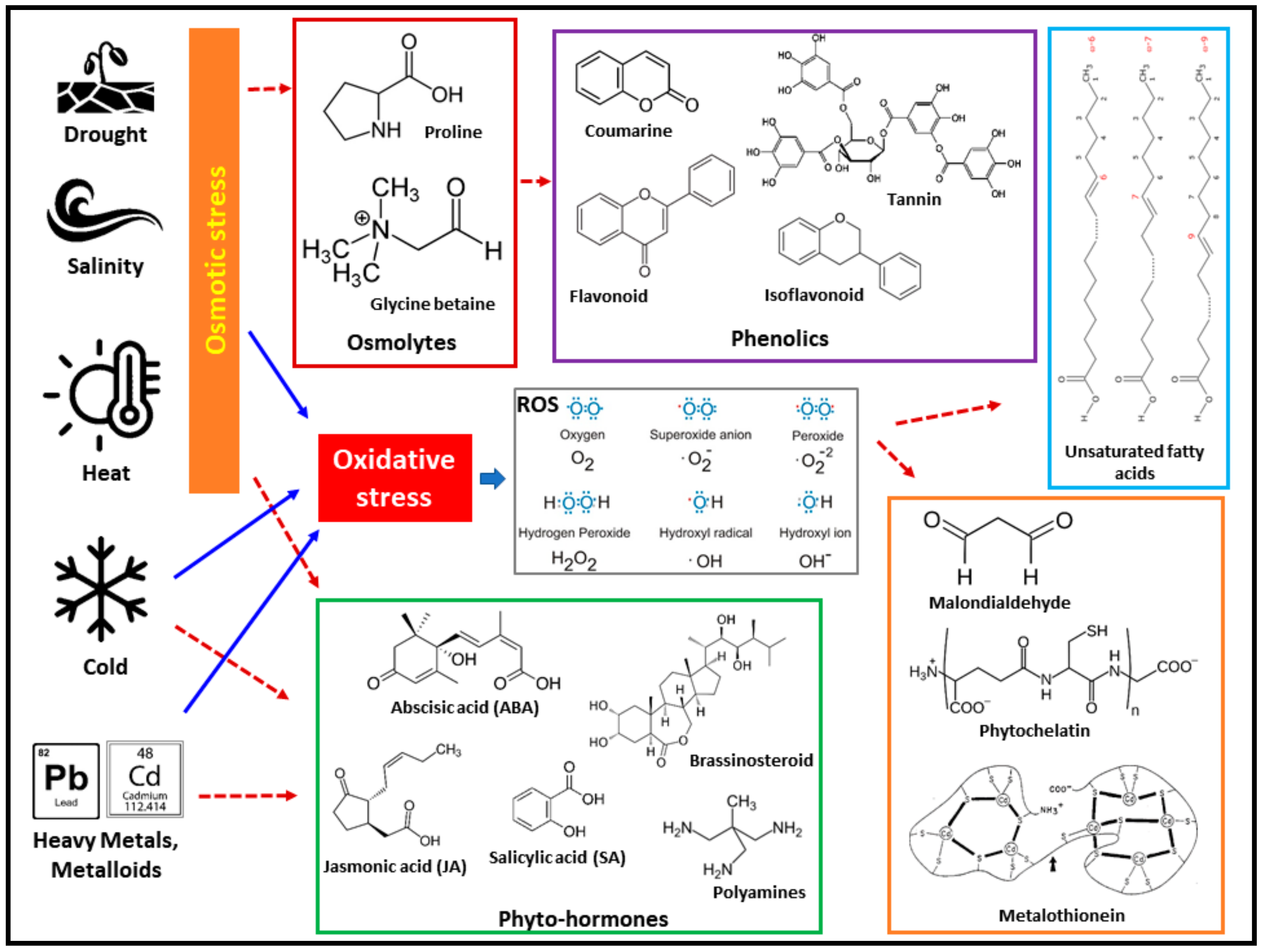 Genes 14 01281 g003 Genes 14 01281 g003