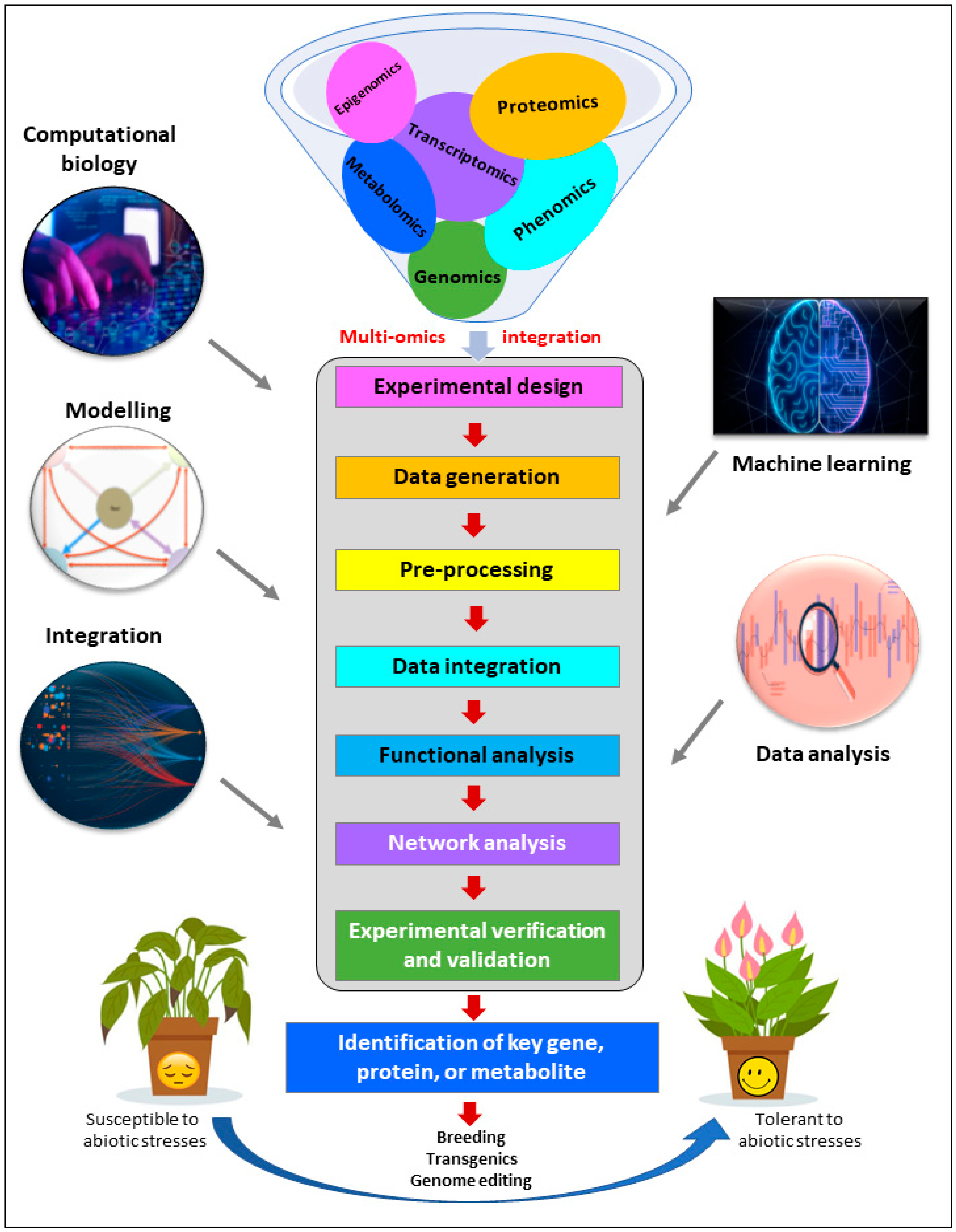Genes | Free Full-Text | Multi-Omics Pipeline and Omics-Integration ...